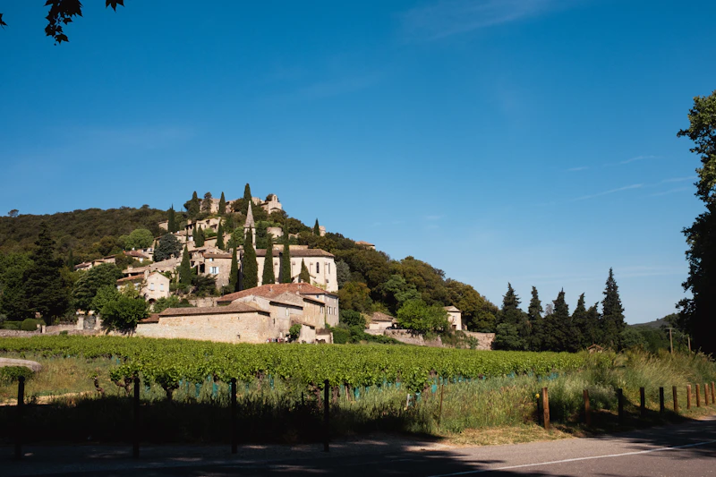 Best Things to Do in Avignon for First Timers (and Repeat Visitors)