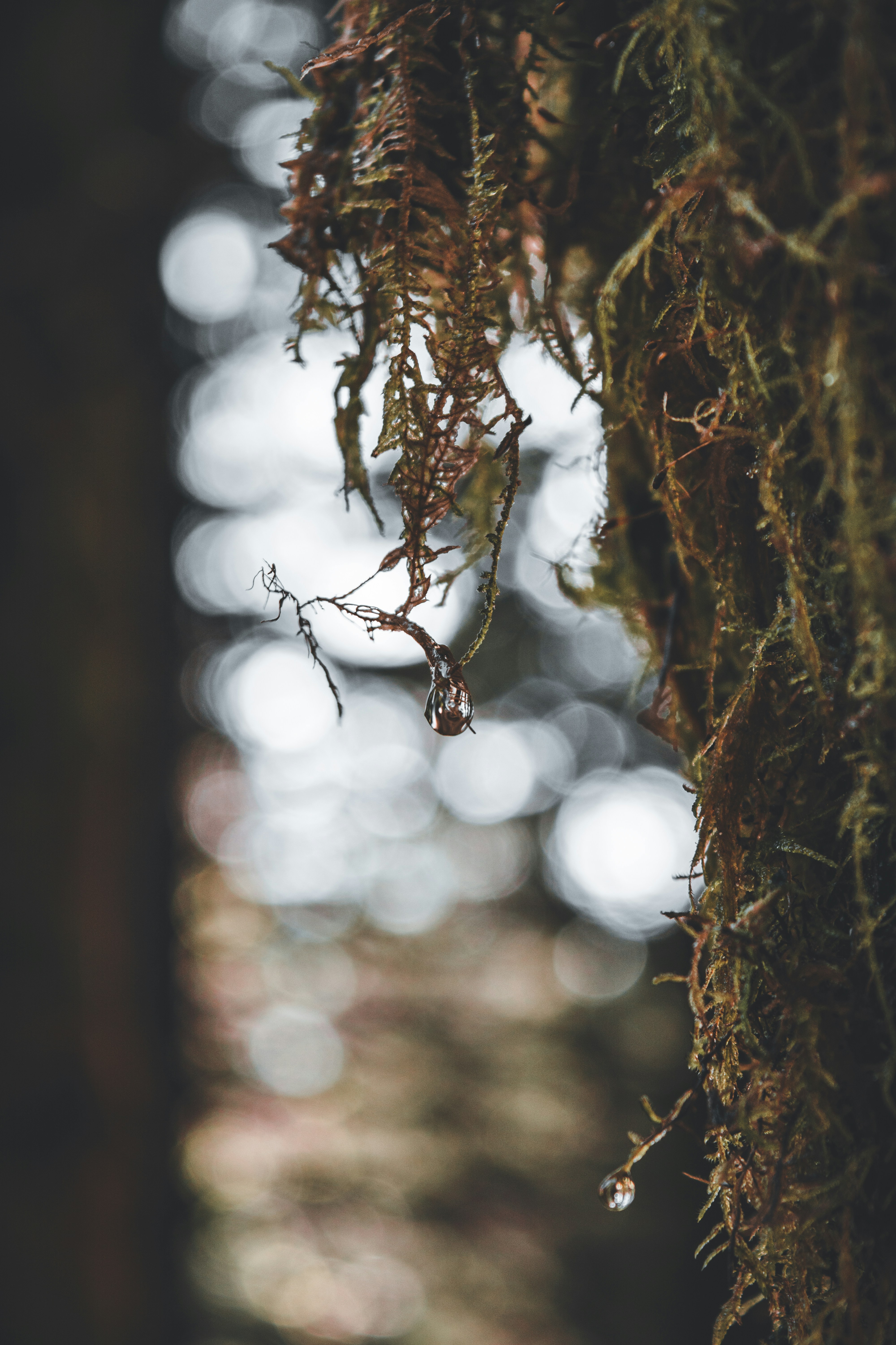 Photo by agataciosek