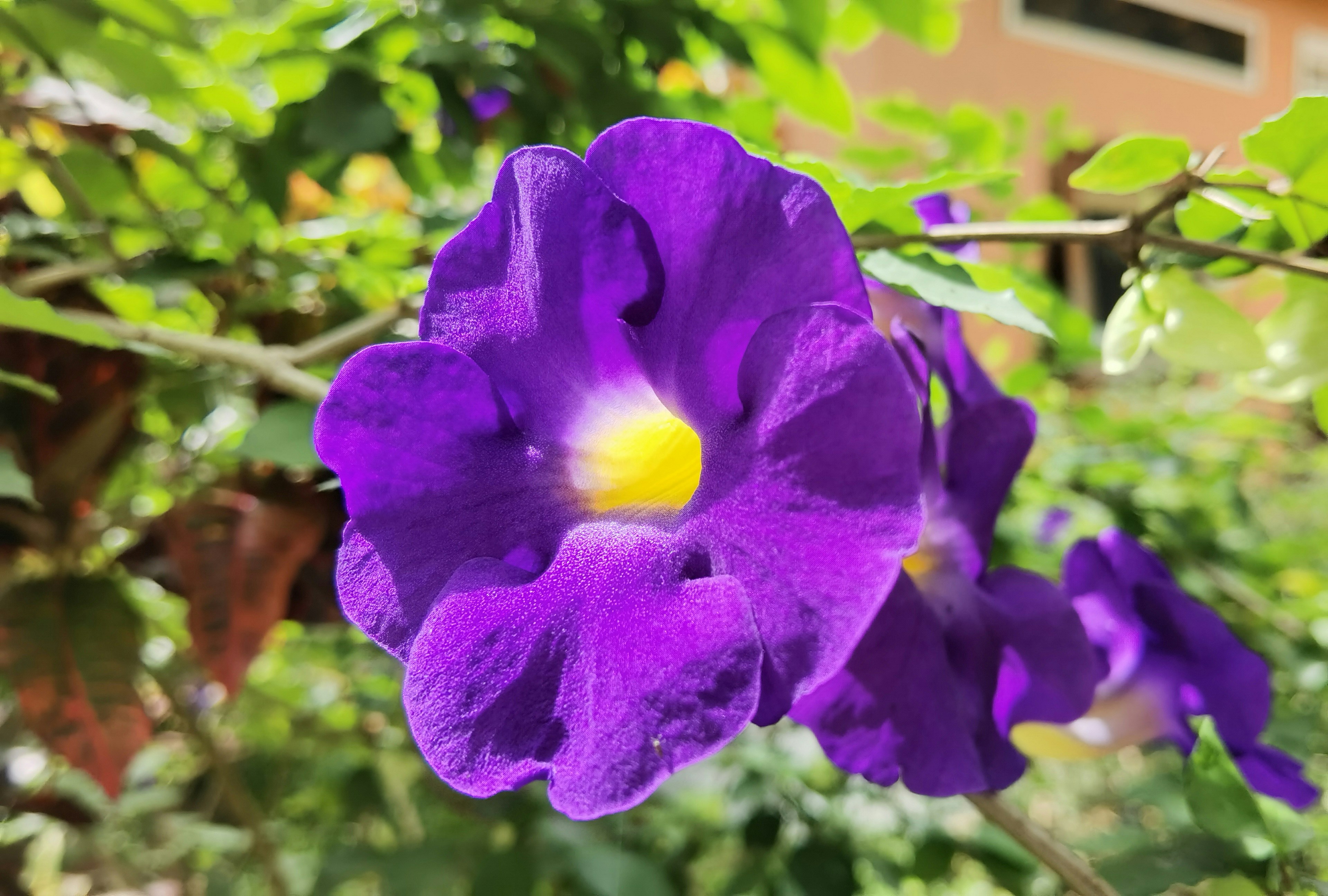 Photo by thoeunratana