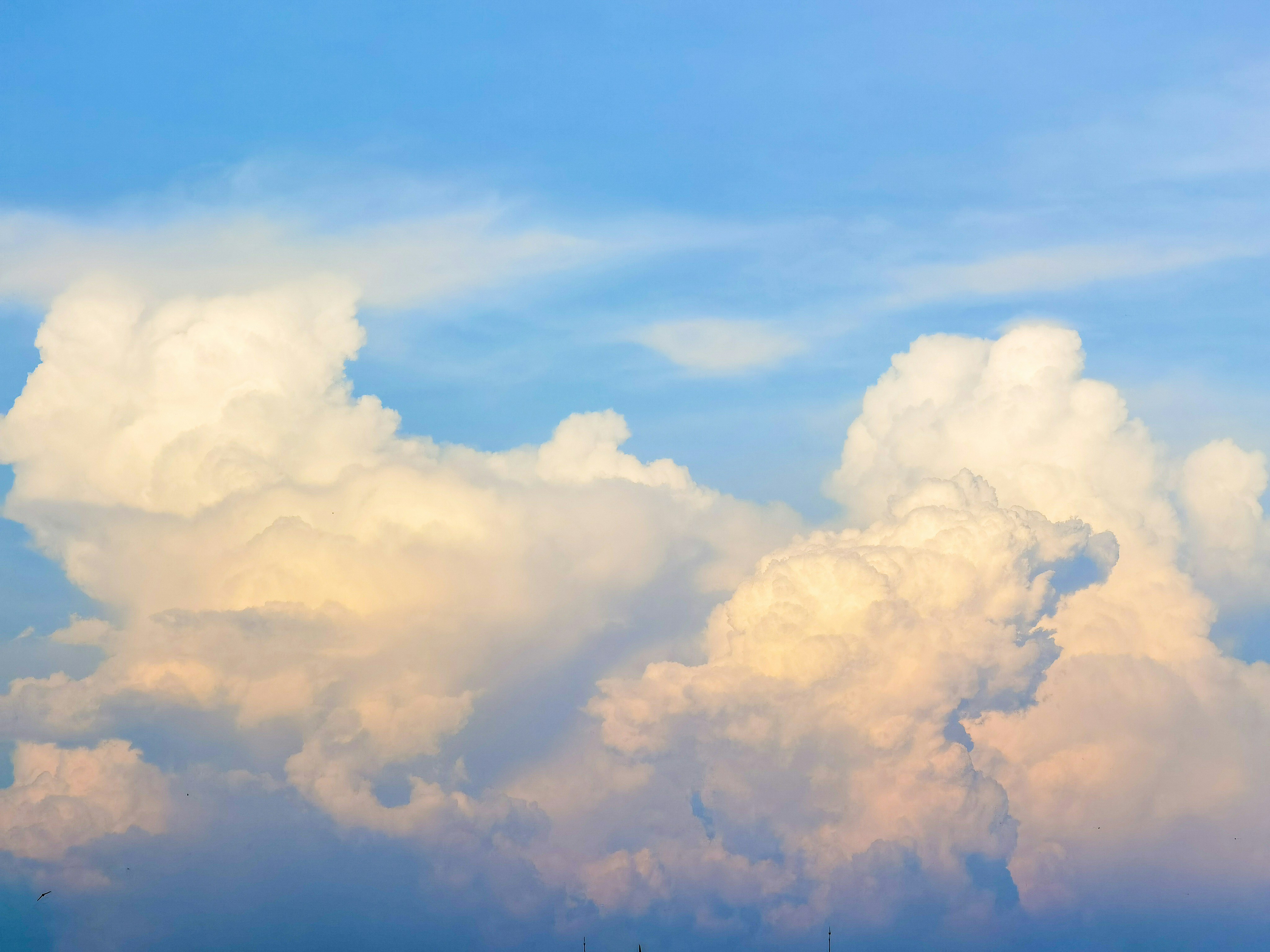 Photo by thoeunratana