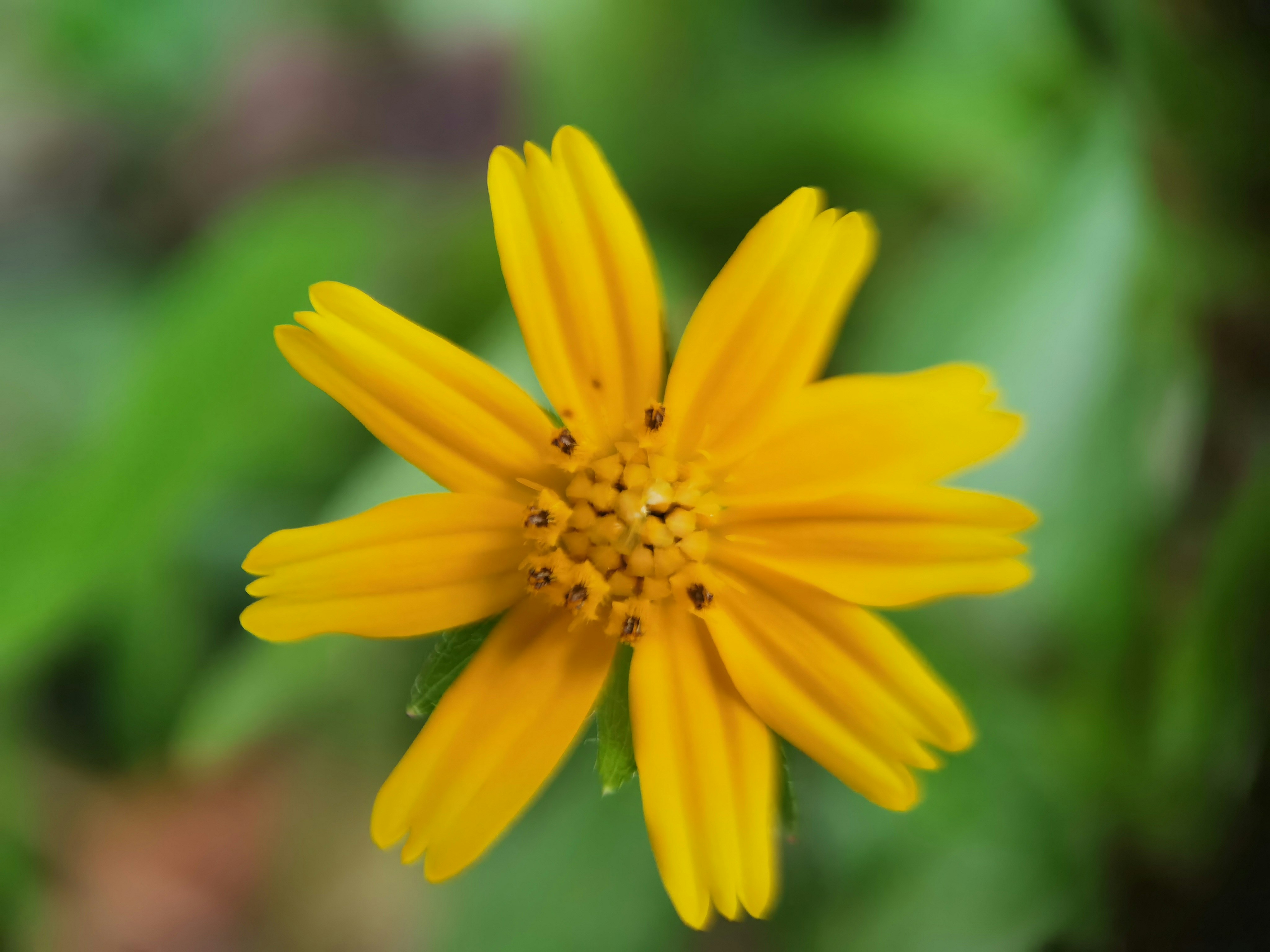 Photo by thoeunratana