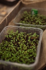 a couple of plastic containers filled with plants