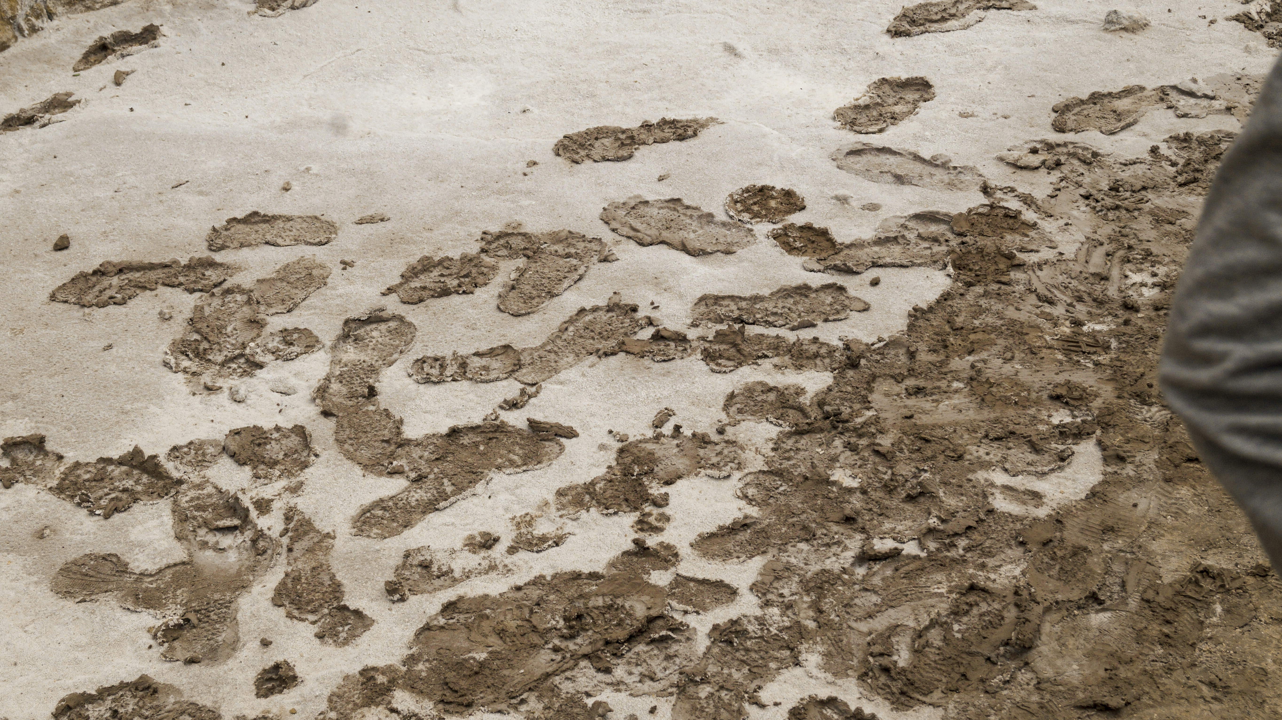 a person standing in the dirt with a dog paw prints on it