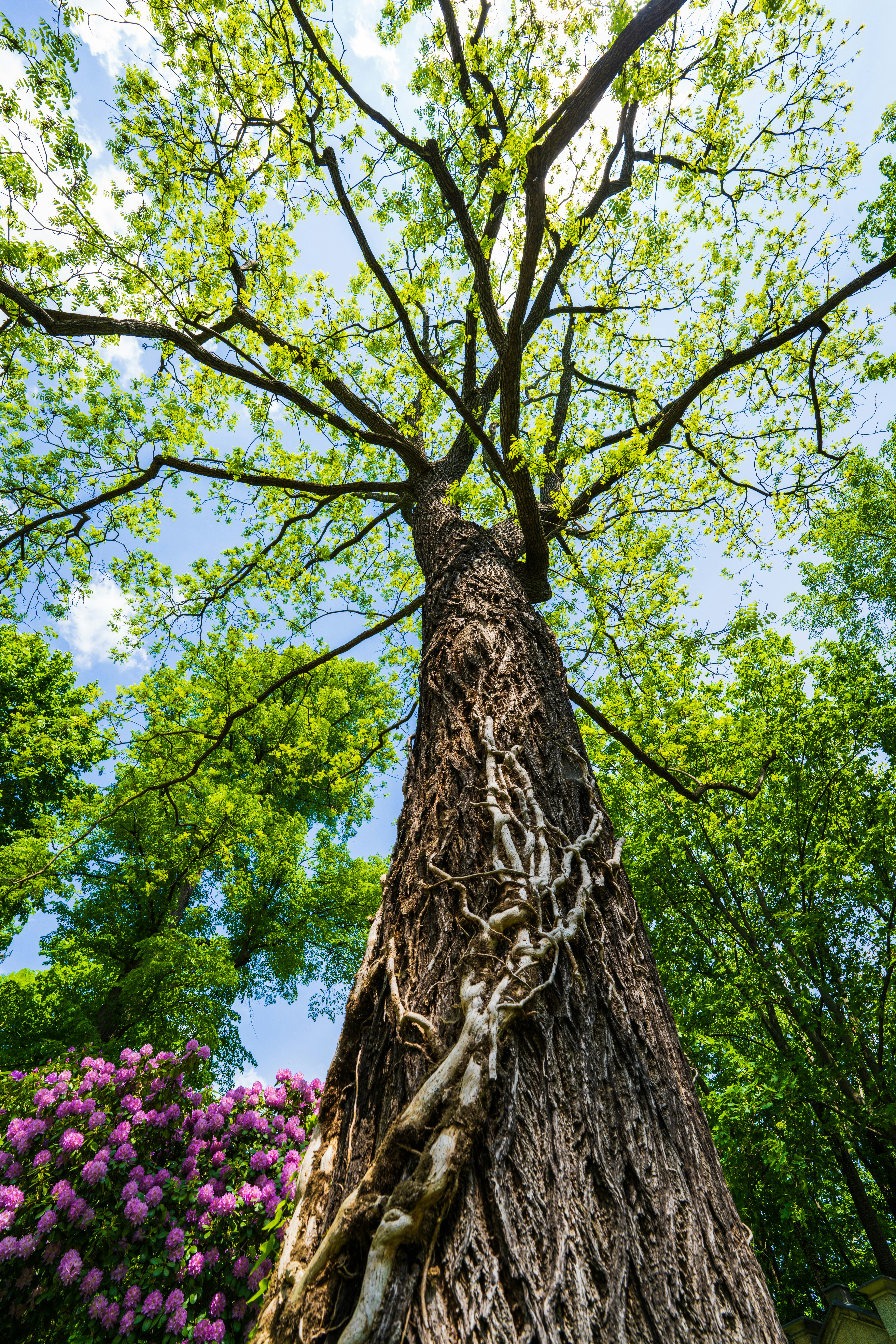 Photo by dmaxsilencer