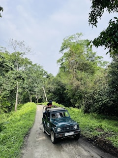 a jeep driving down a dirt road next to a lush green forest