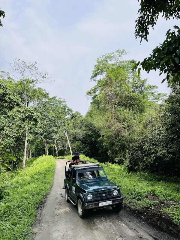 A jeep driving down a dirt road next to a lush green forest