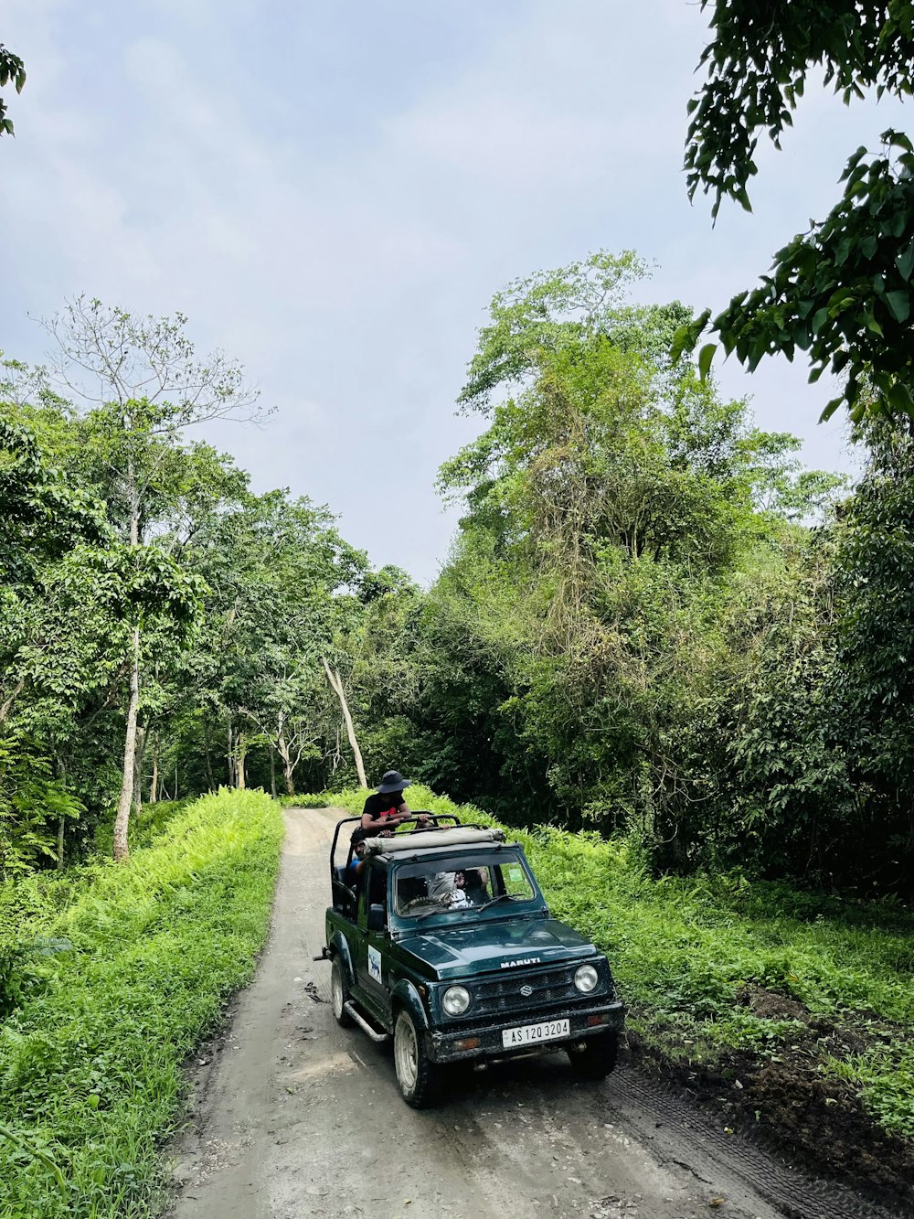 a jeep driving down a dirt road next to a lush green forest