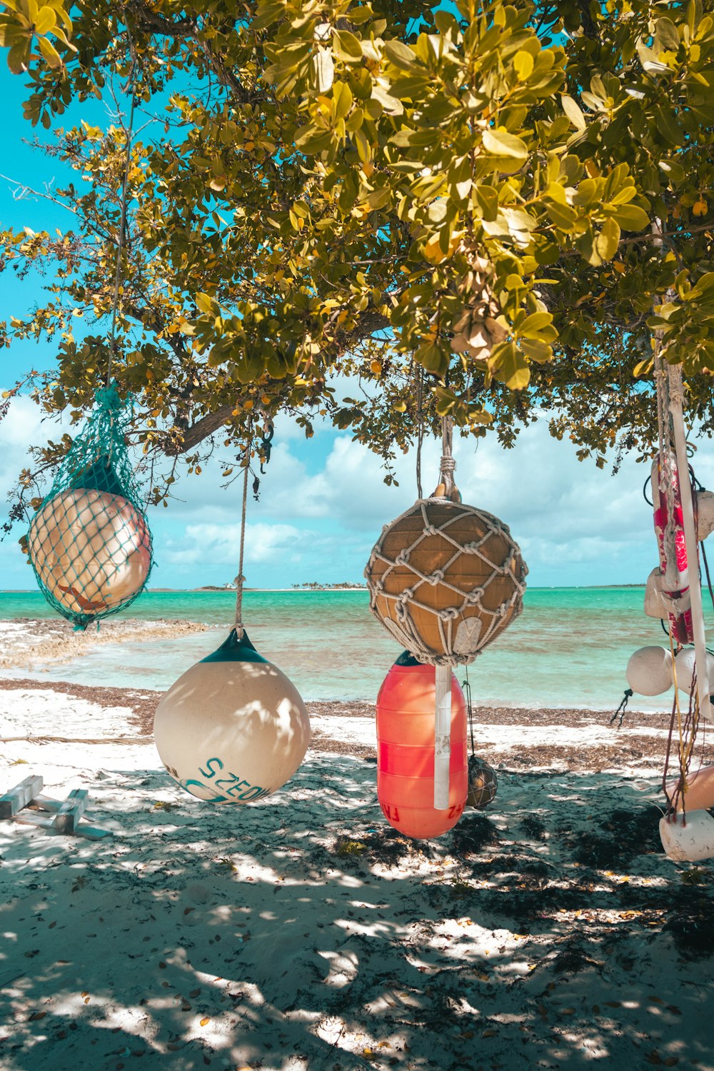 a bunch of balls hanging from a tree on a beach