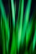 a blurry photo of green grass in the night