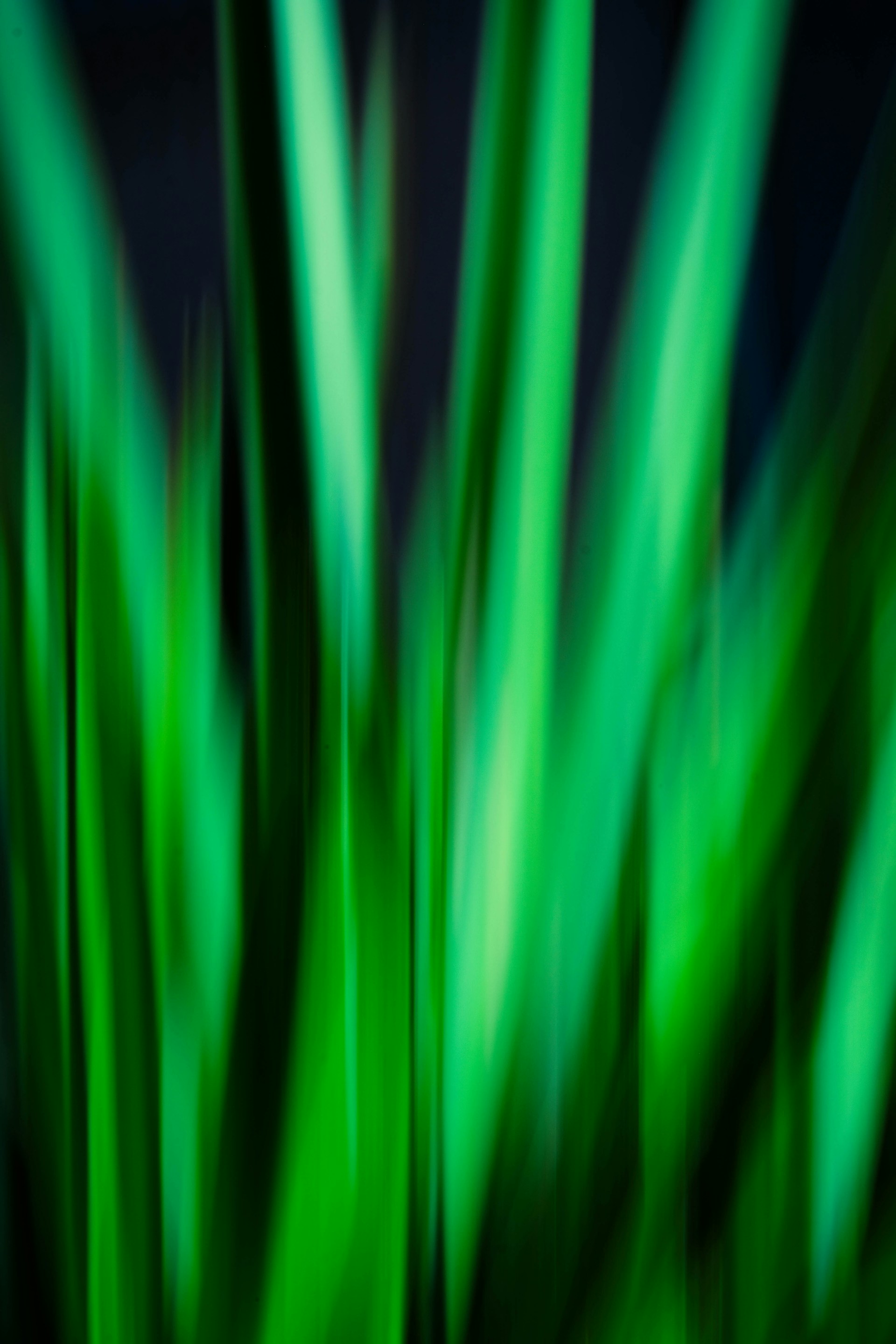 a blurry photo of green grass in the night