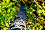 Close-up of feet gently stepping on a moss-covered trail, grounding in the earth.