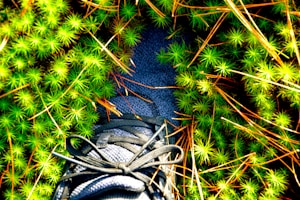 Trail Runner Shoes