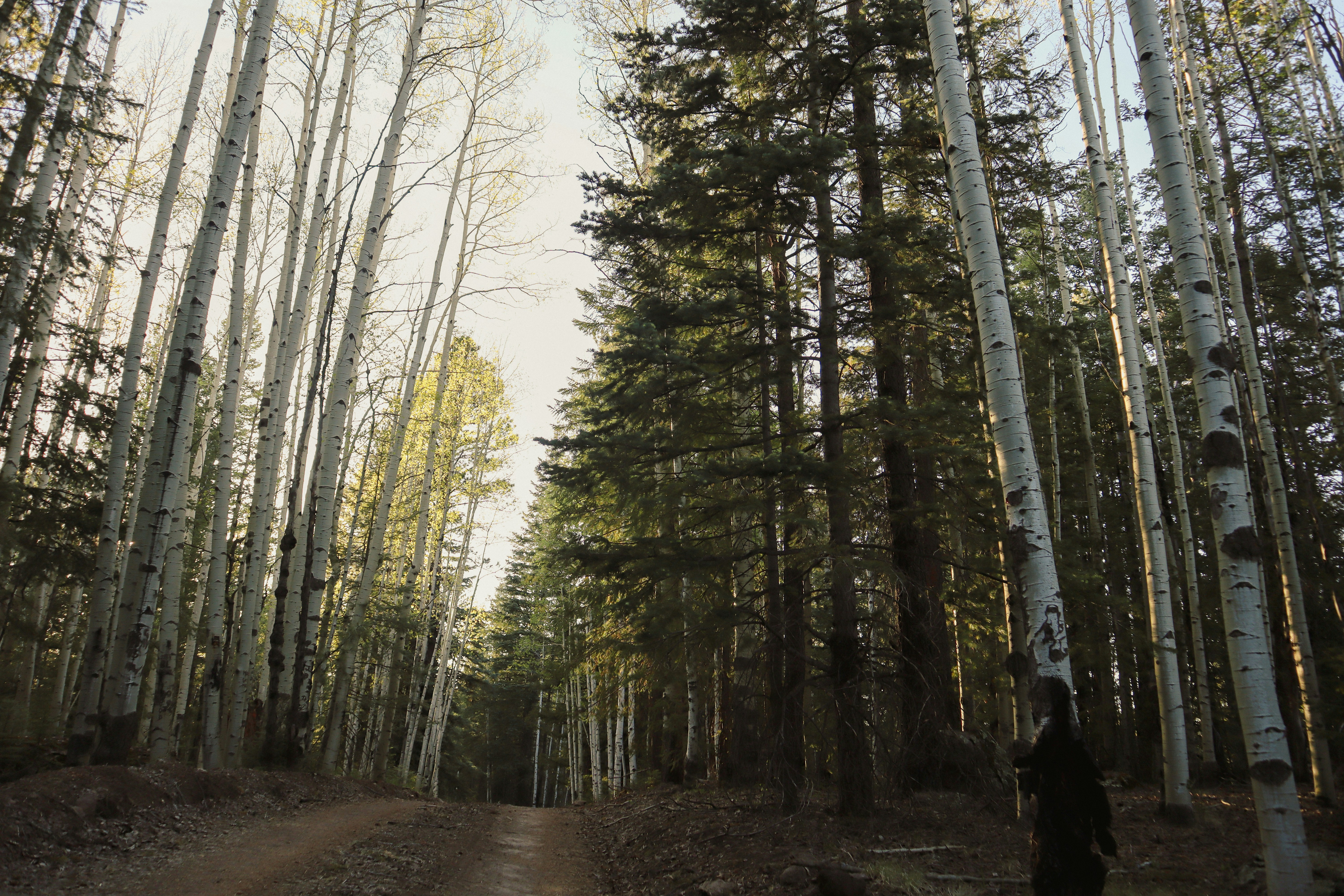 Photo by _allieastorga_