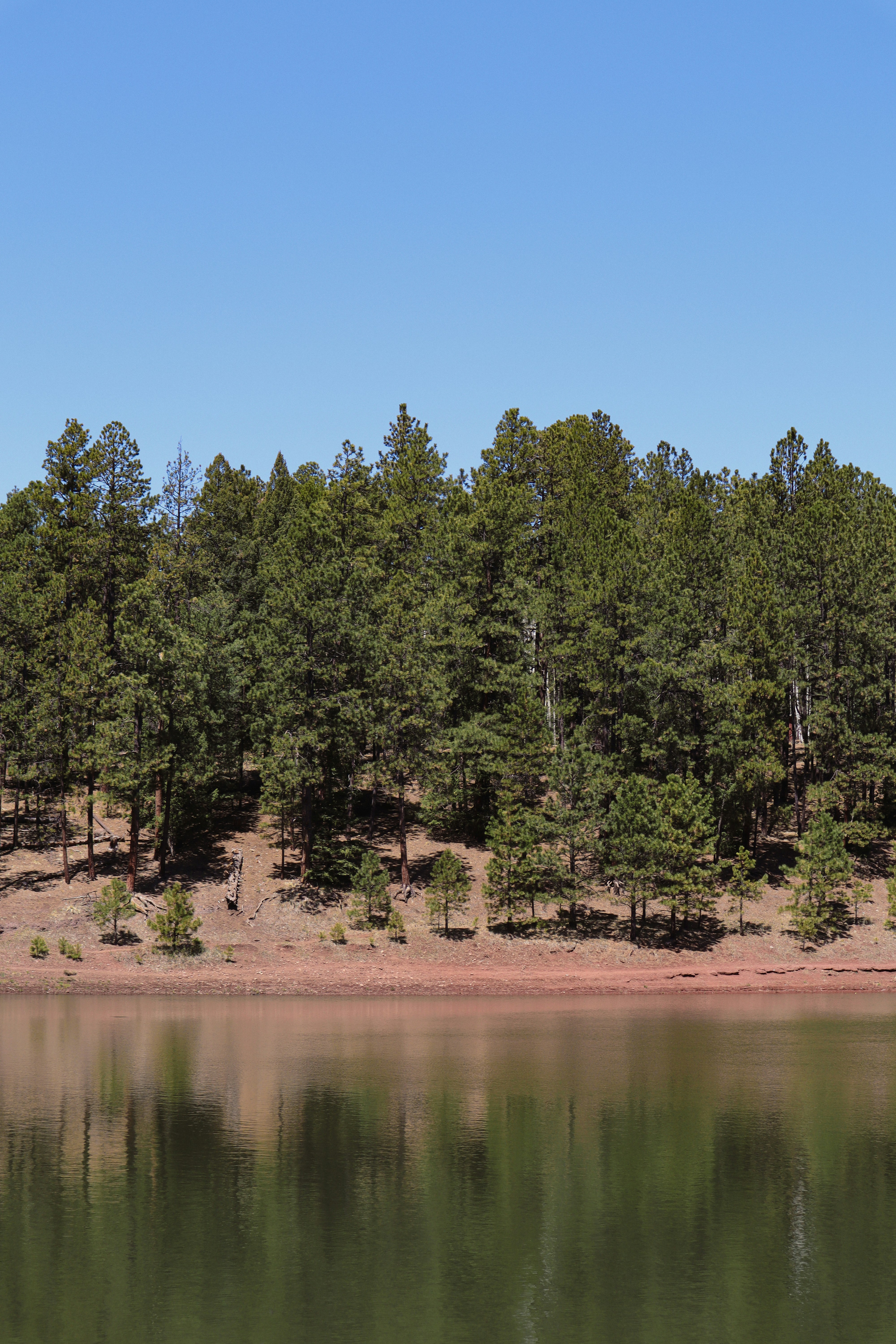 Photo by _allieastorga_