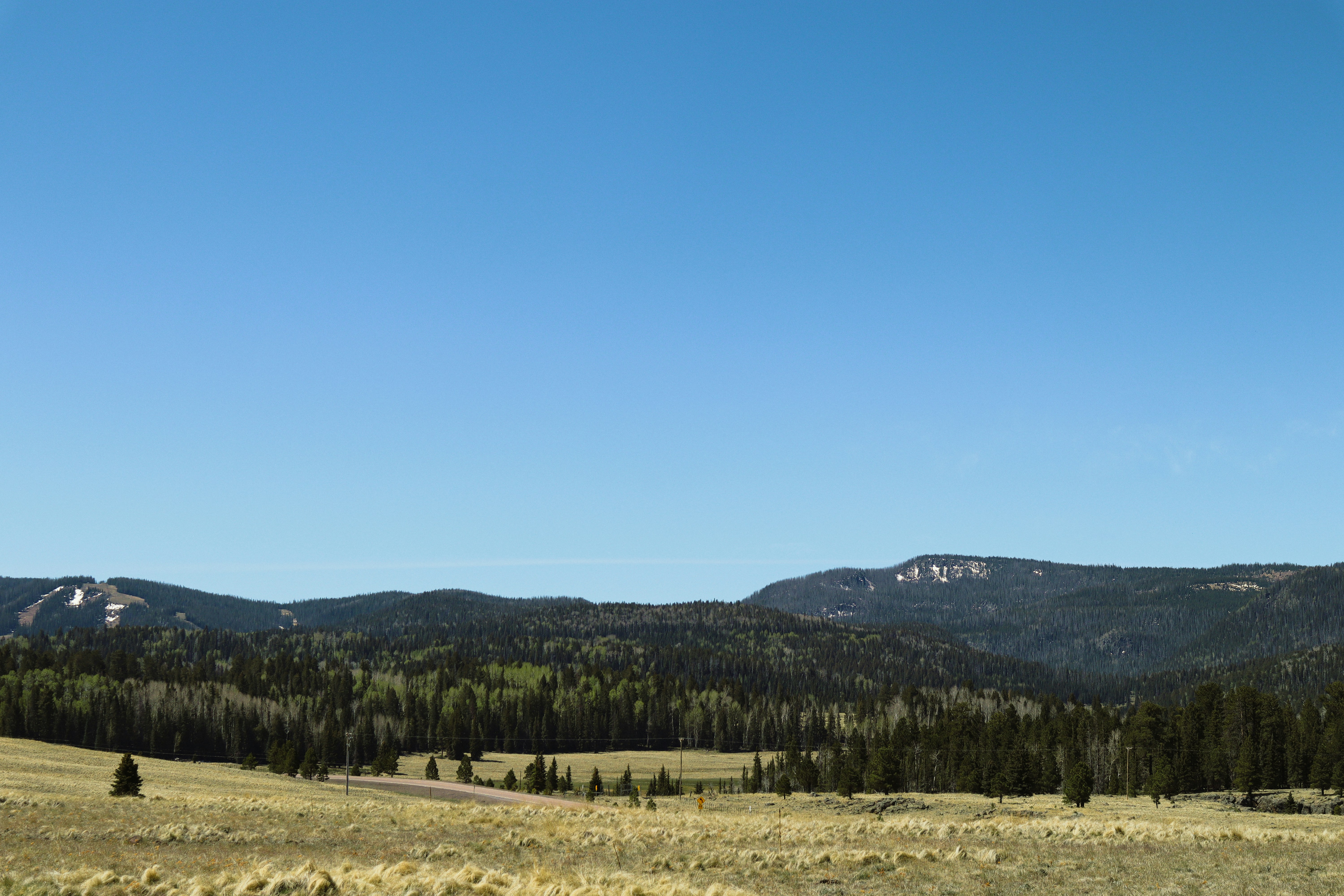 Photo by _allieastorga_