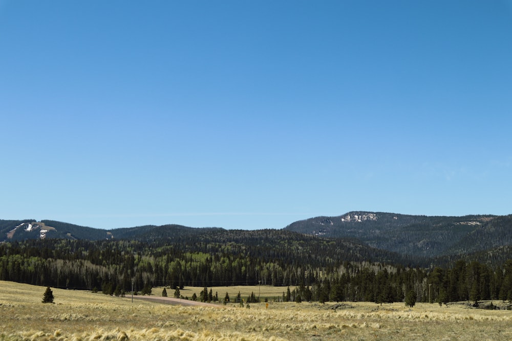 a grassy field with mountains in the background