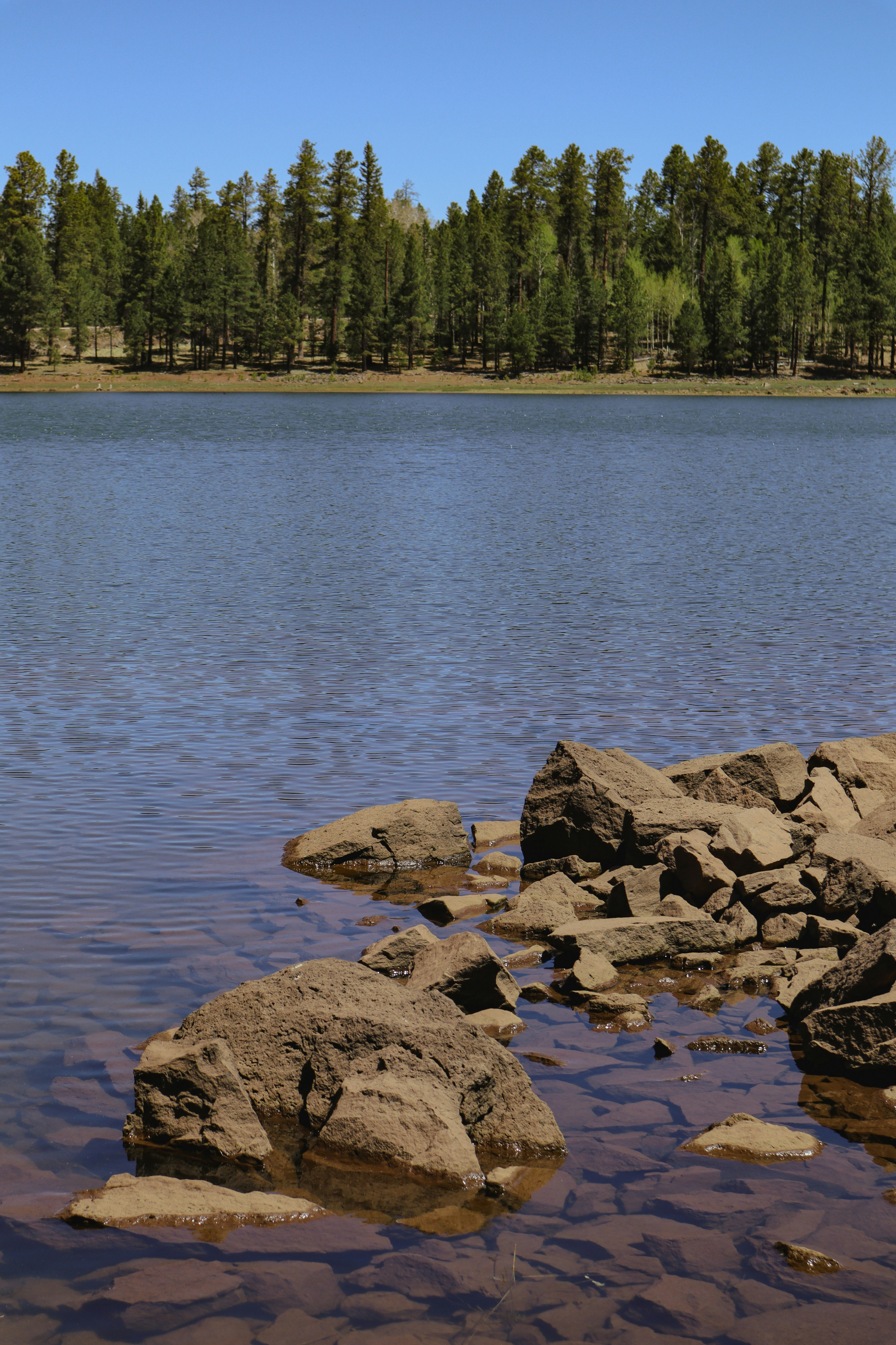 Photo by _allieastorga_