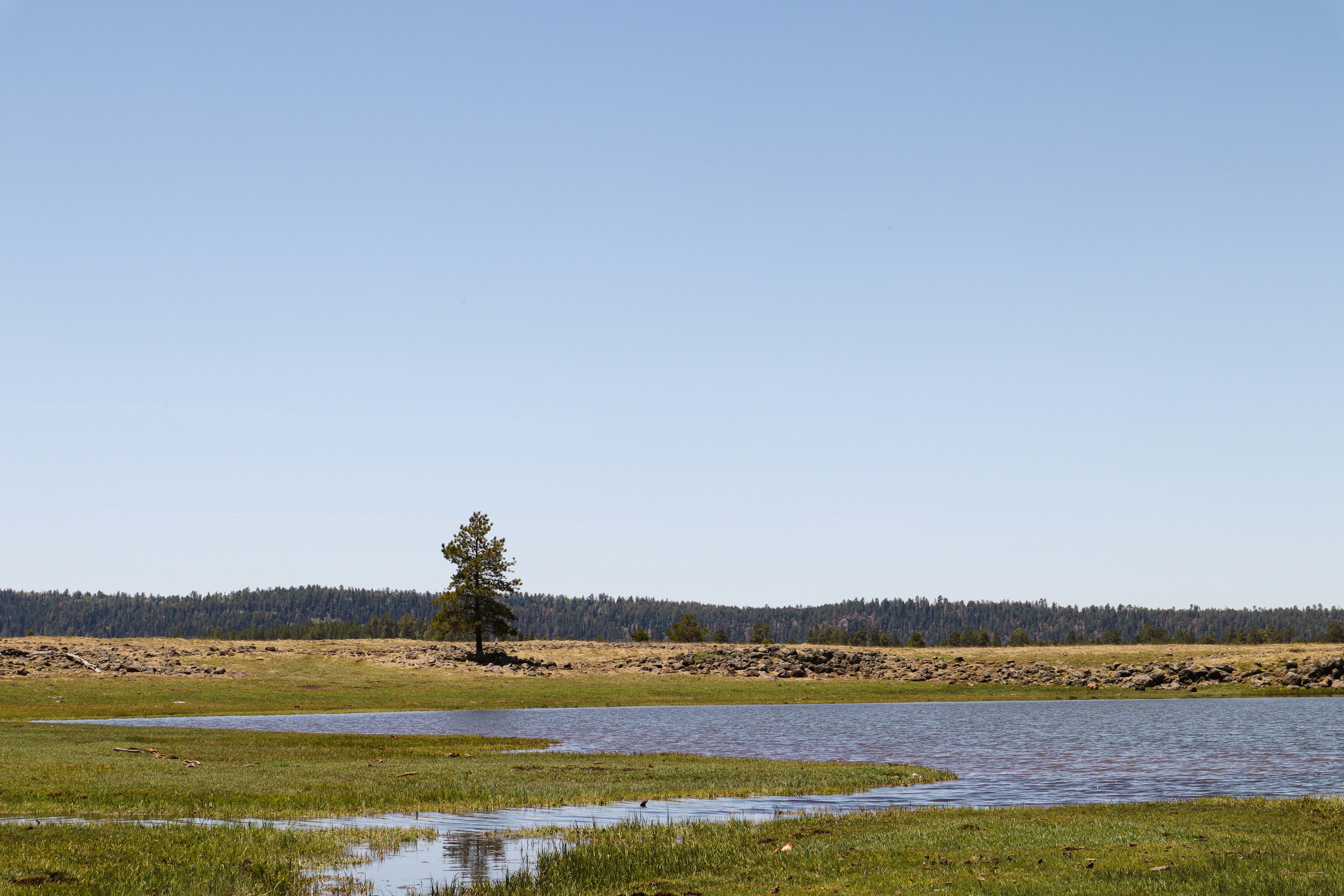 Photo by _allieastorga_