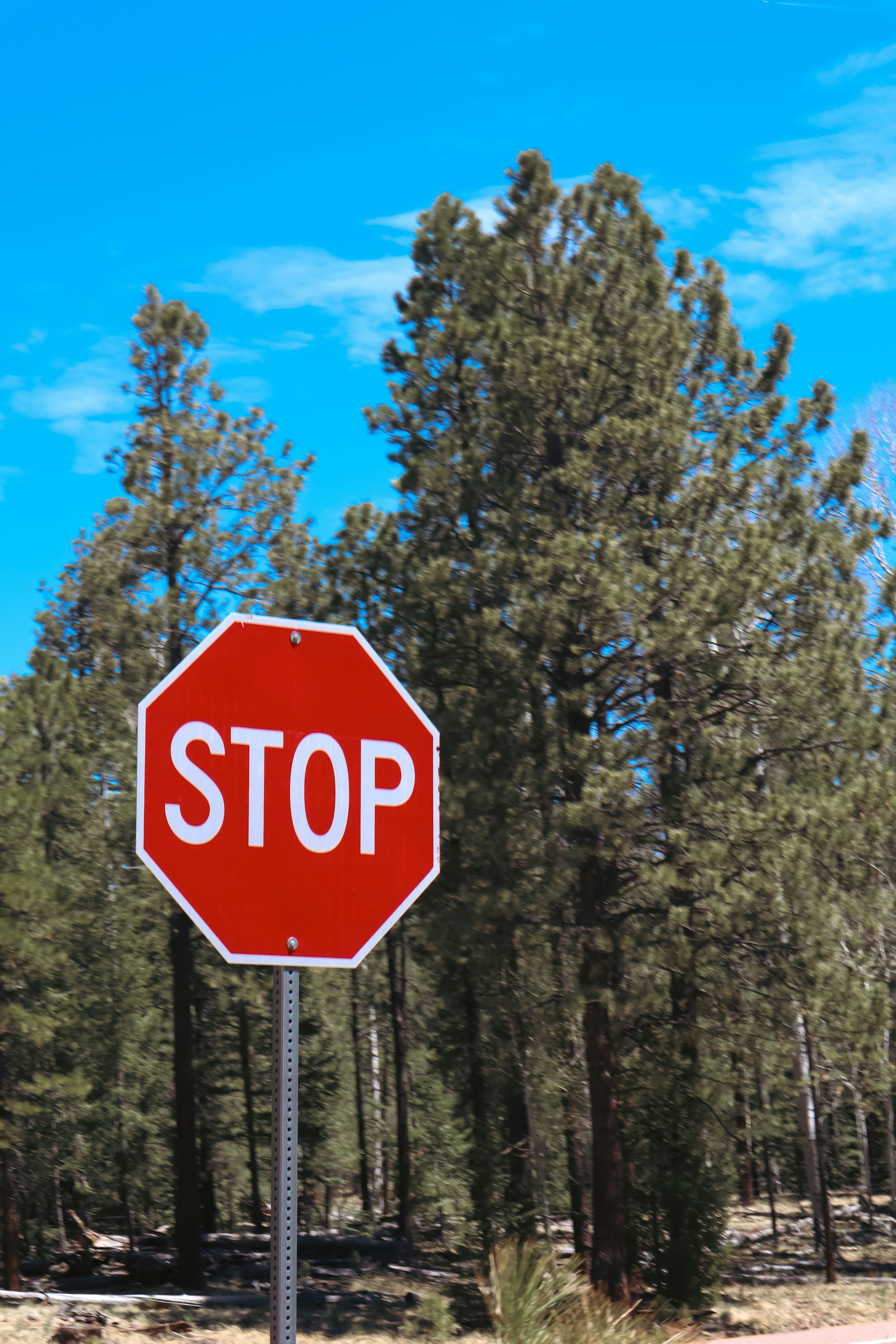 Photo by _allieastorga_