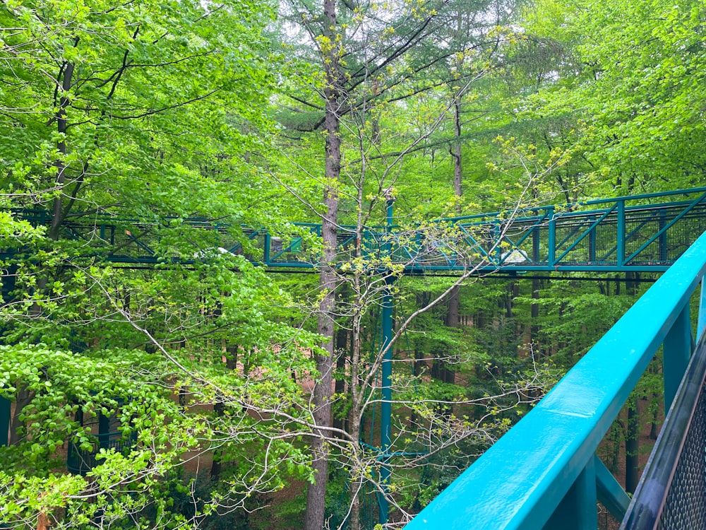 a blue bridge in the middle of a forest