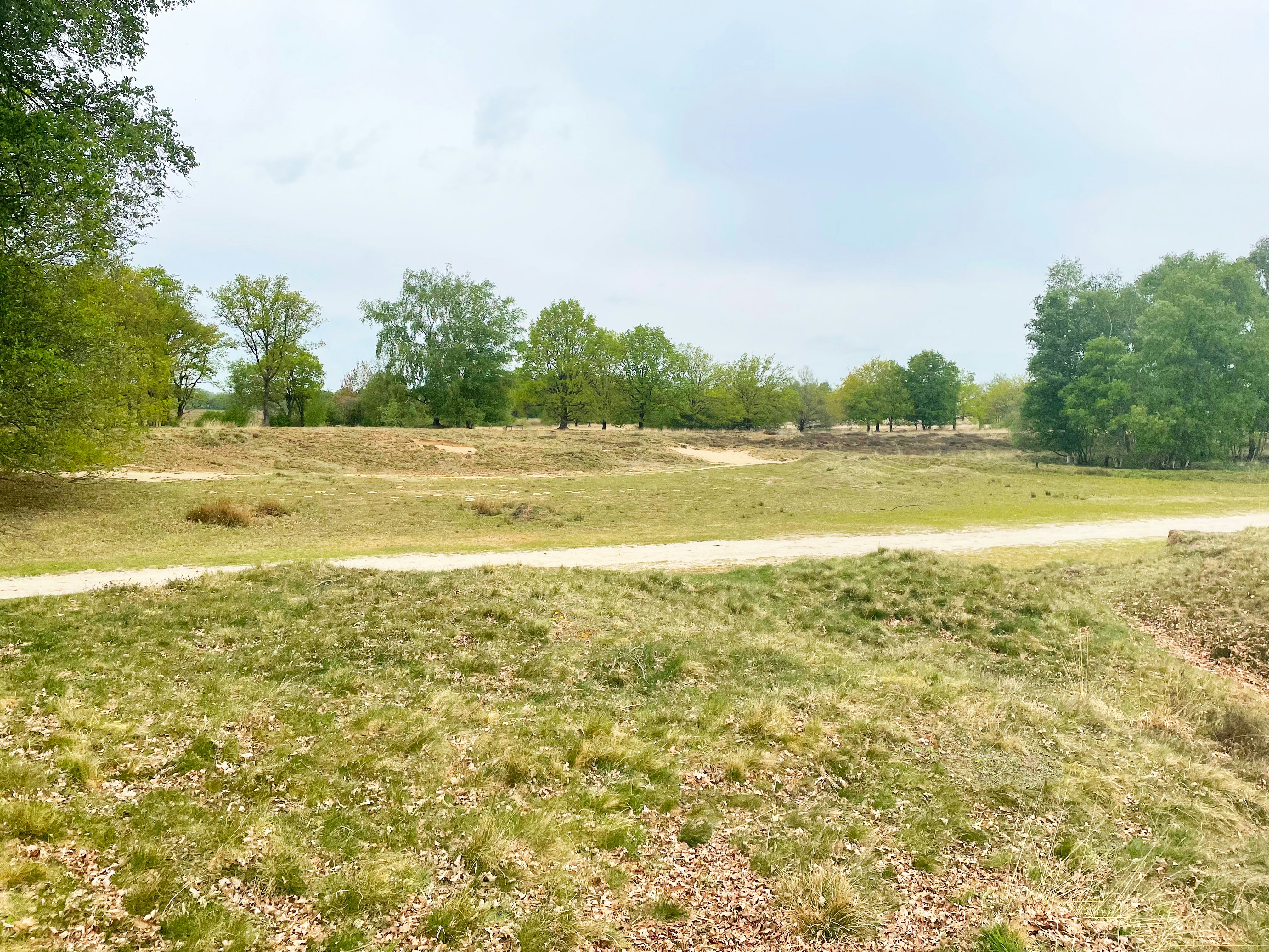 a dirt road running through a lush green field