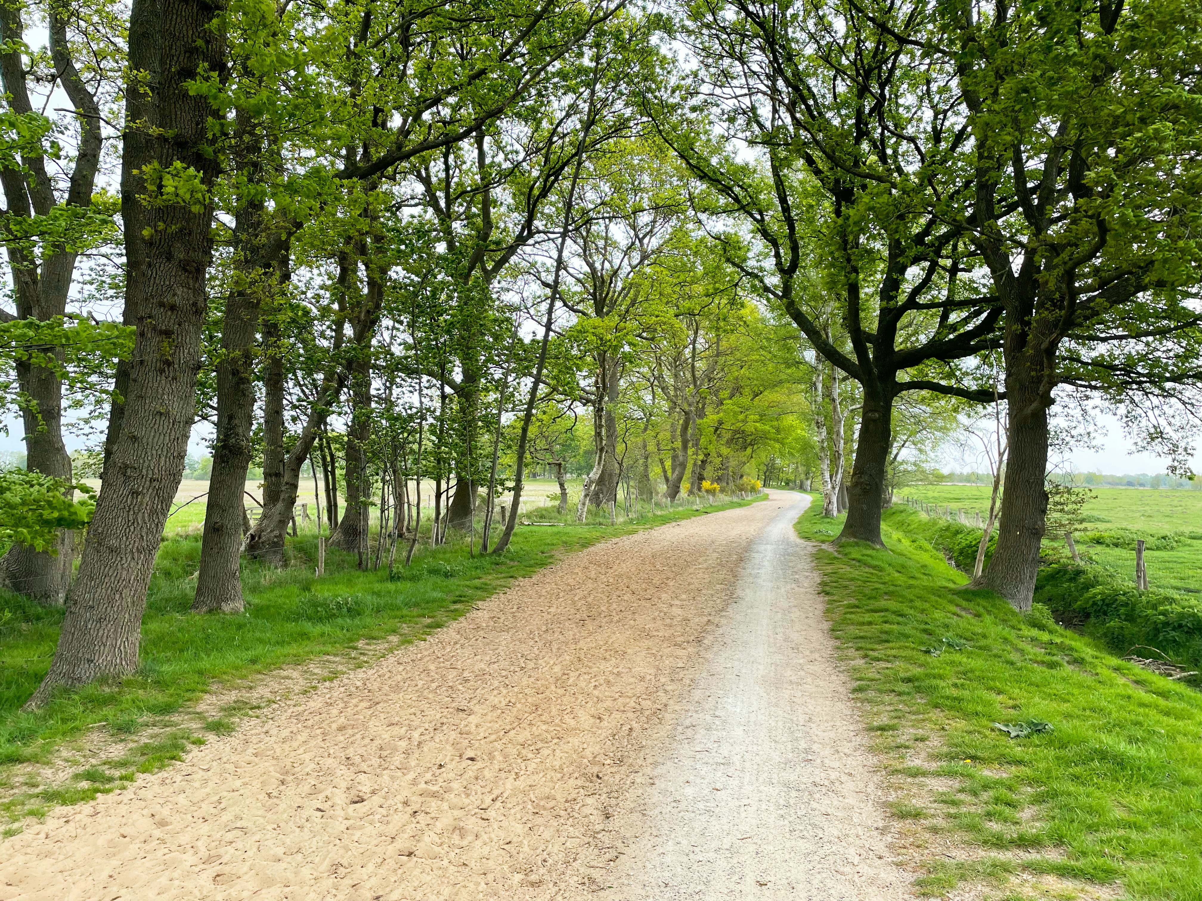 Photo by arennagulyan_photo