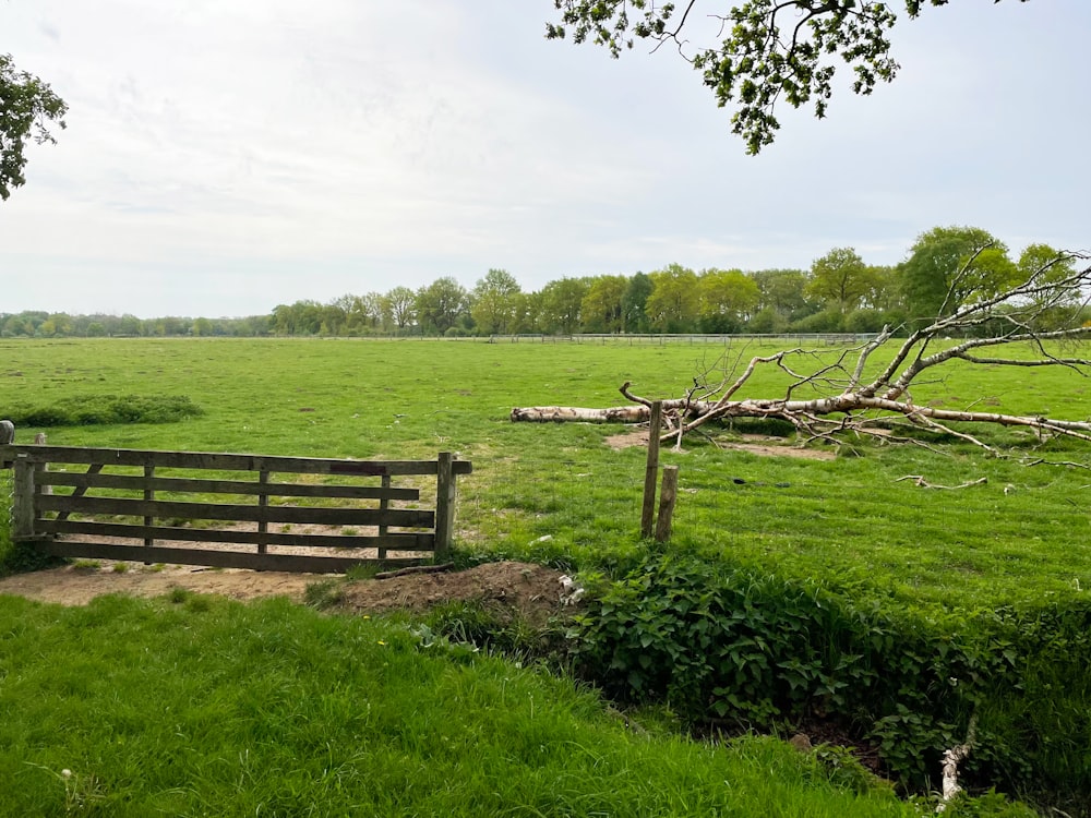 a wooden bench sitting on top of a lush green field