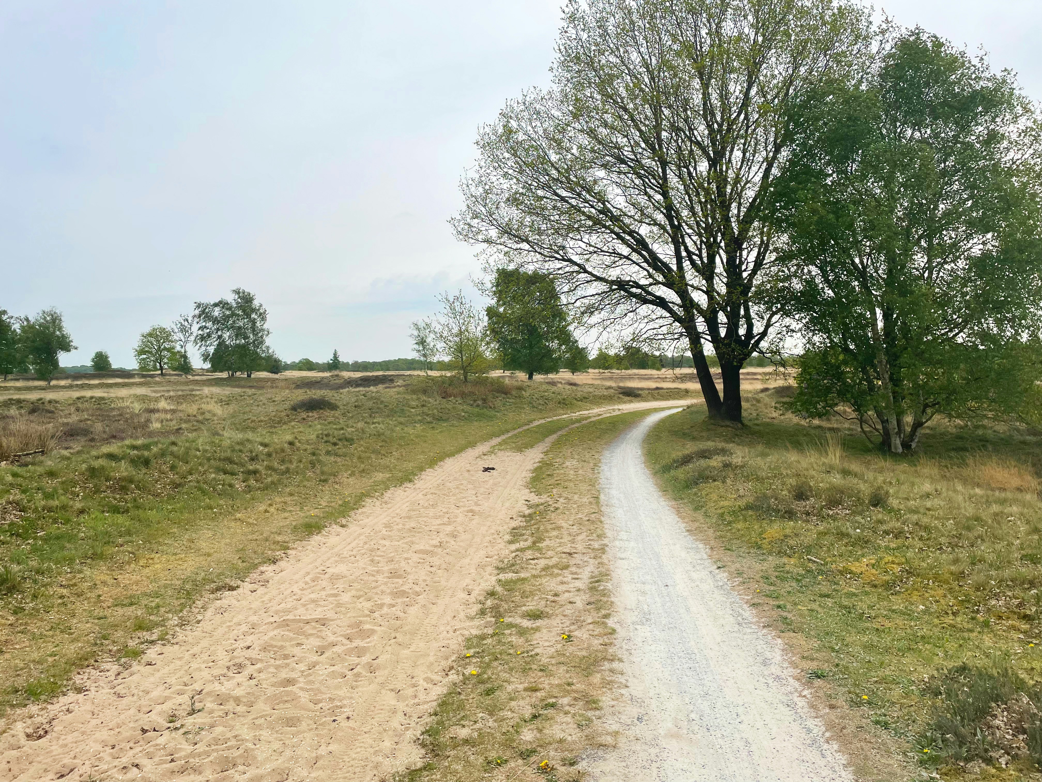Cappadocia Balloon Reservation 