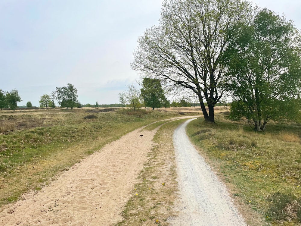 a dirt road in the middle of a field