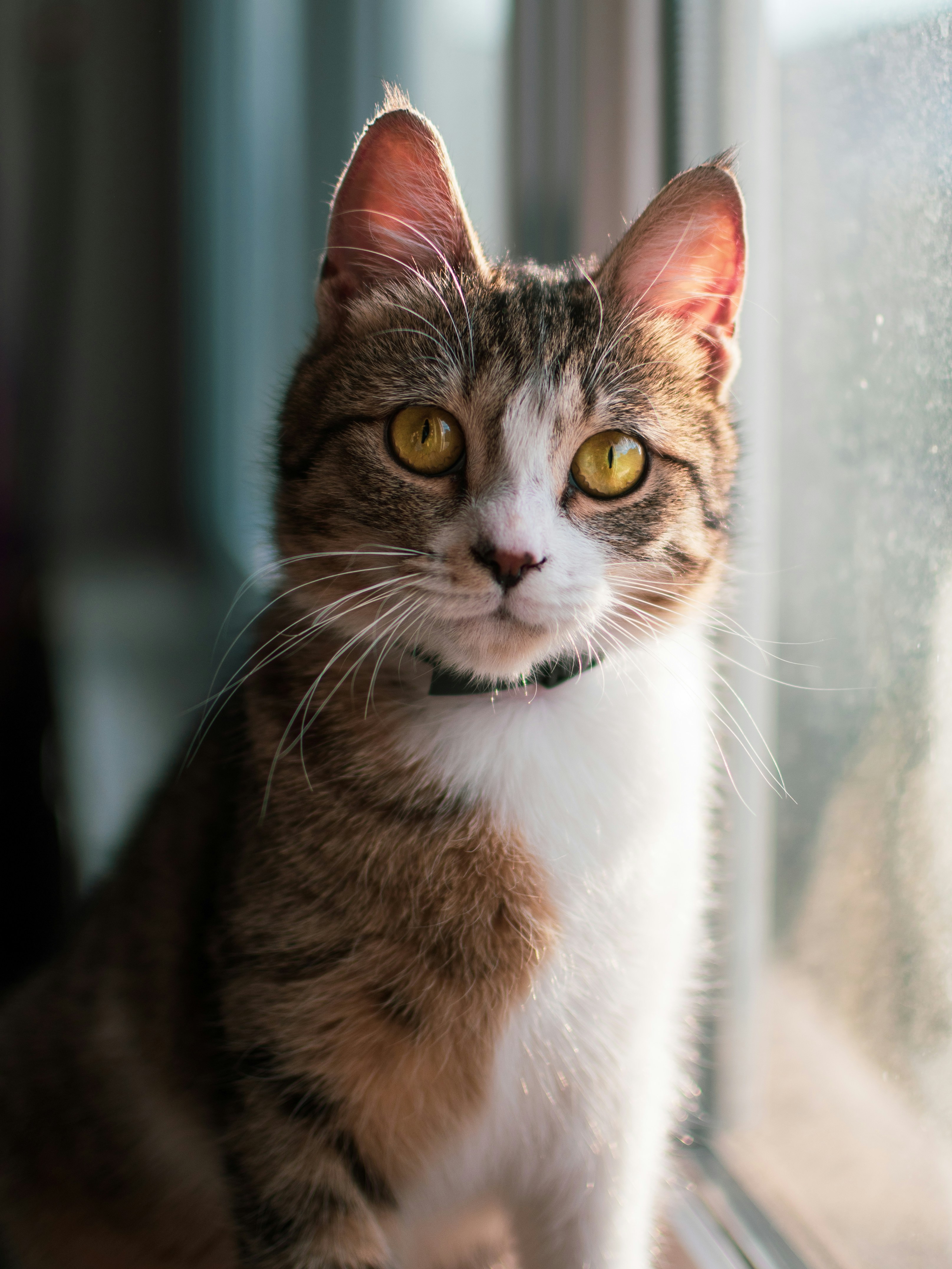 Photo by aniadigyozalyan