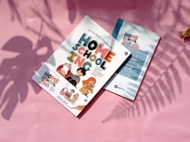 Two books titled 'Homeschooling' are placed on a pink surface, with soft shadows of plants. The books feature colorful cartoon illustrations and text. The cover design includes characters engaging in learning activities.