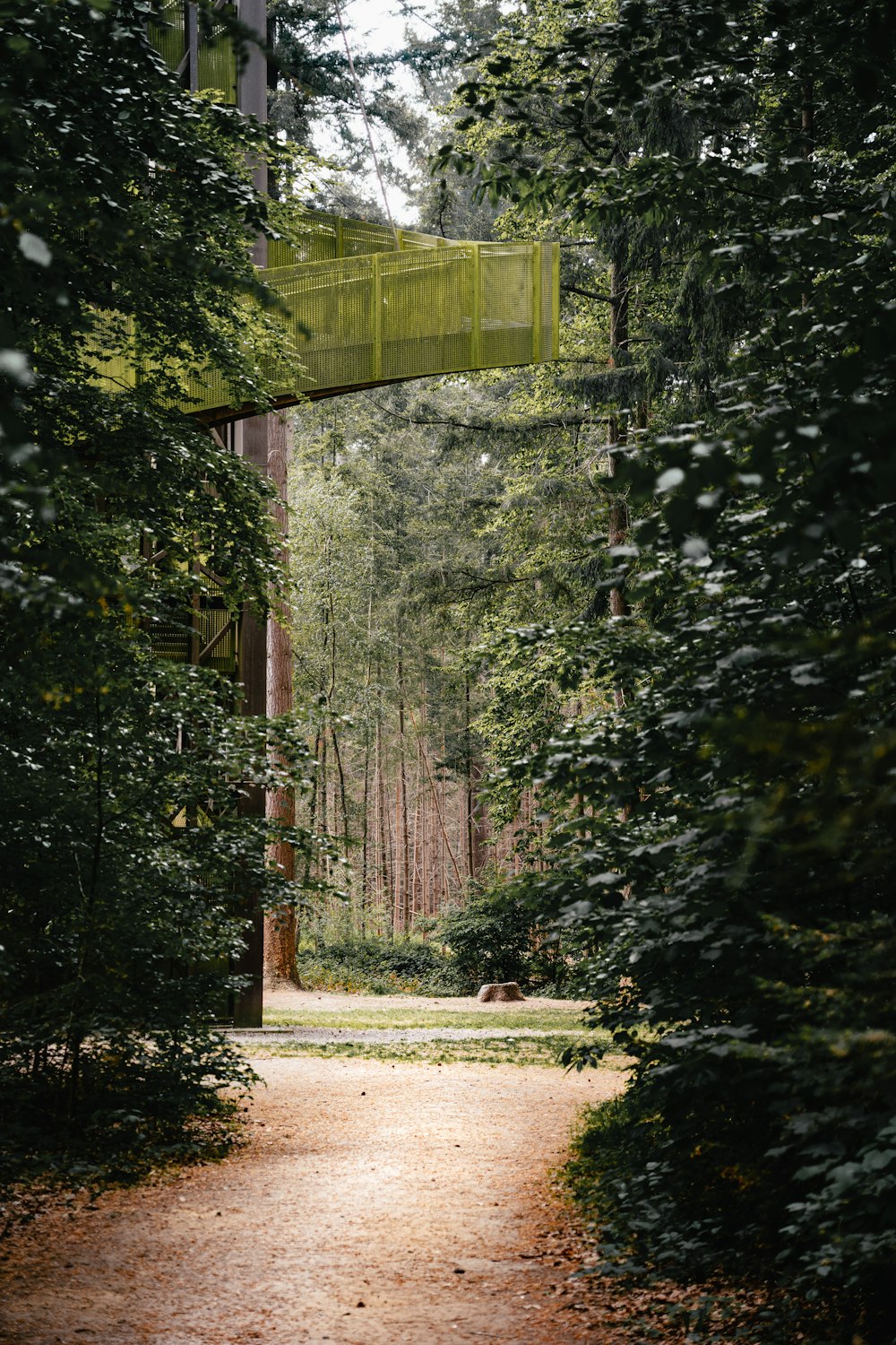 a path in the middle of a forest with a bridge above it