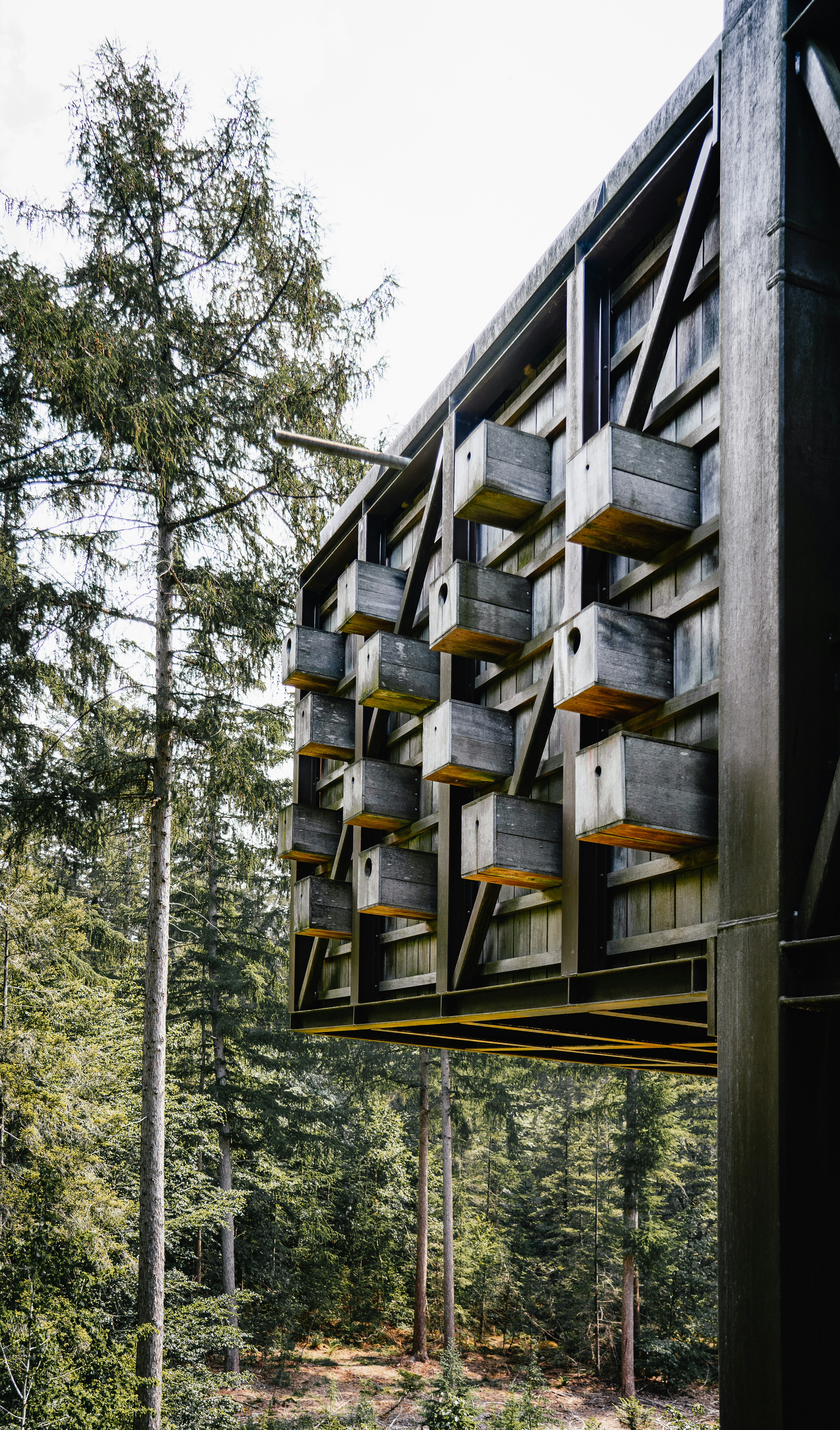 un'alta struttura in legno nel mezzo di una foresta