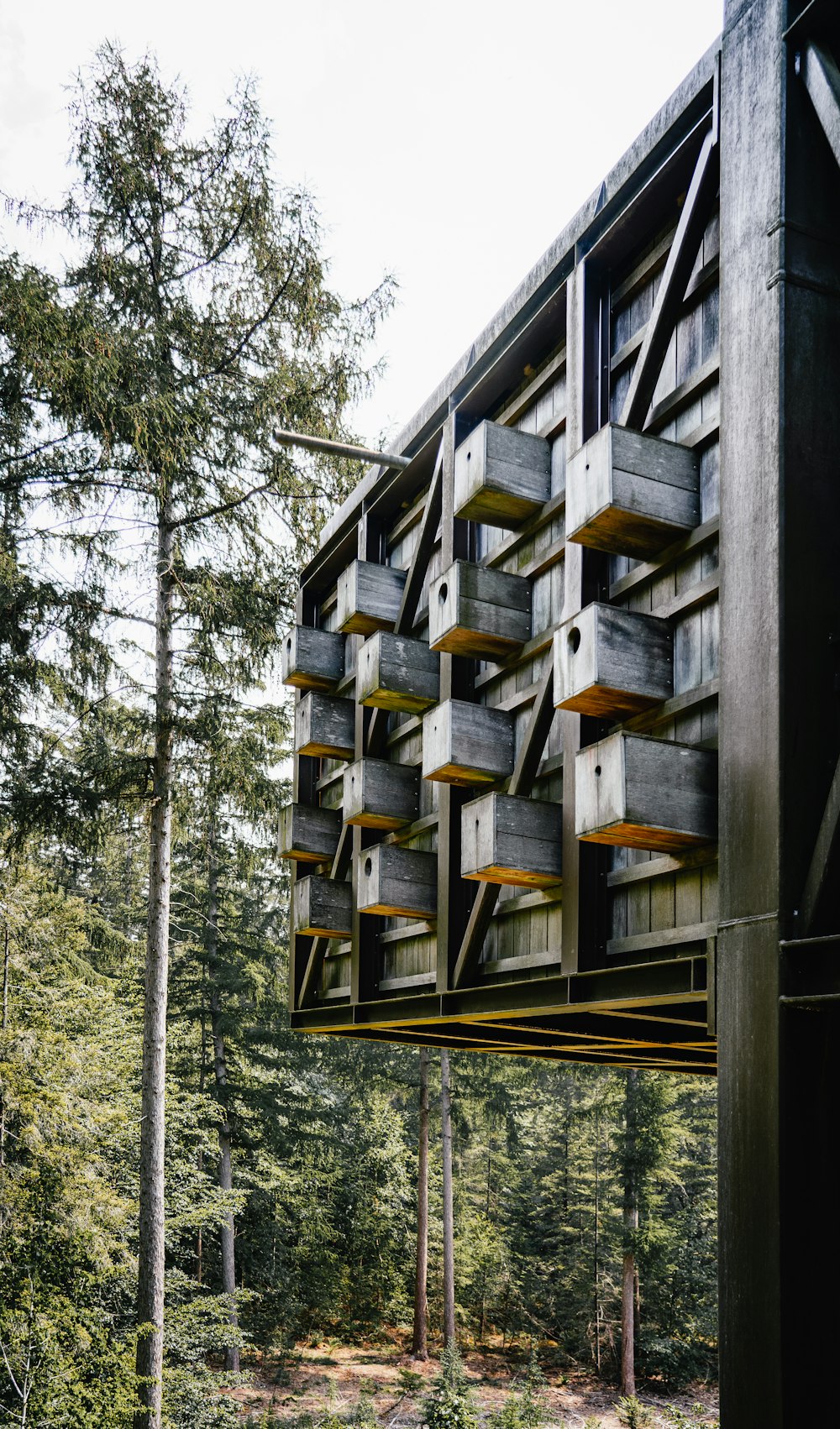 a tall wooden structure in the middle of a forest