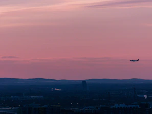 The sleek L39 Albatros soaring against a twilight sky with city lights below