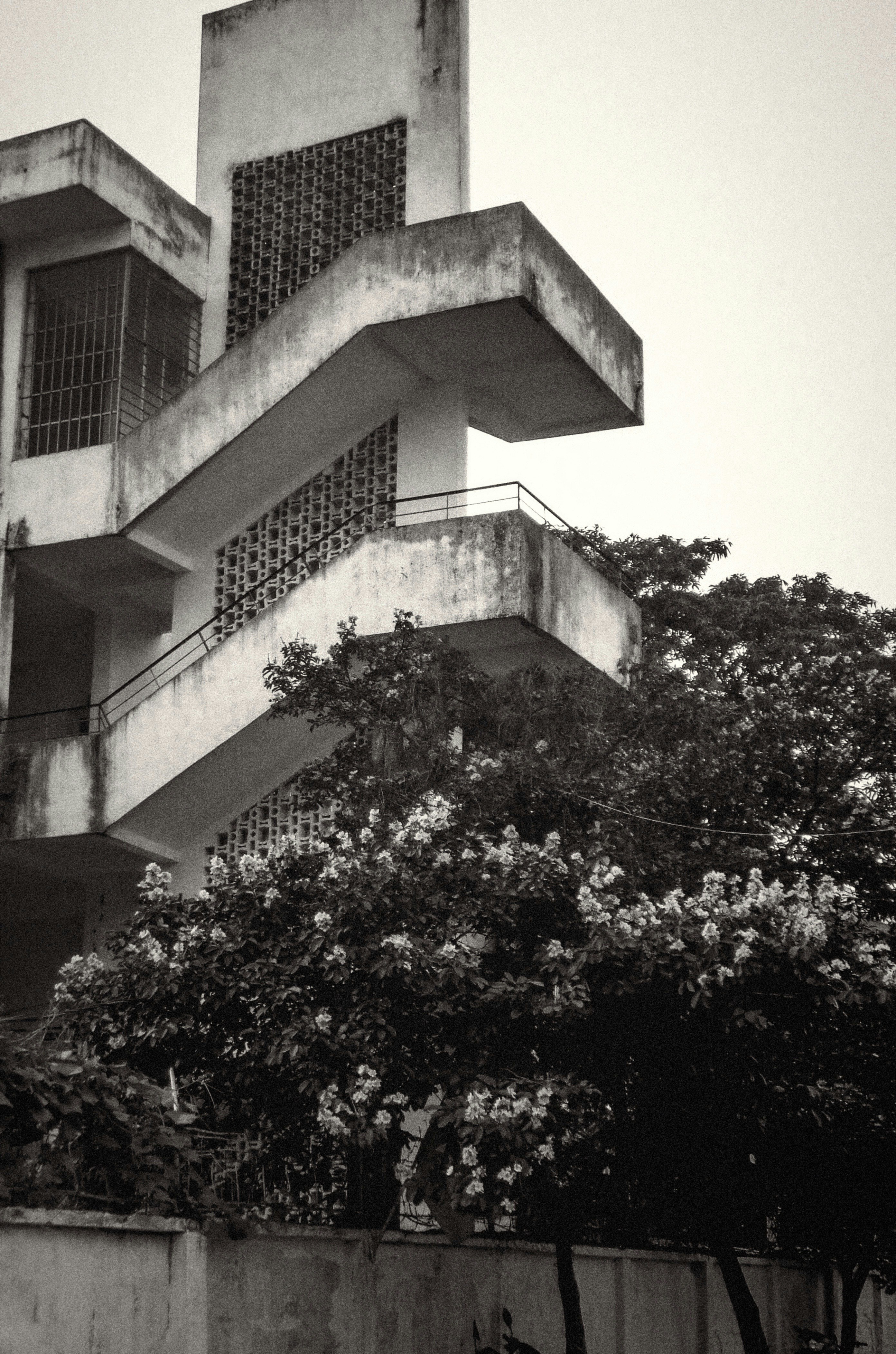 việt nam