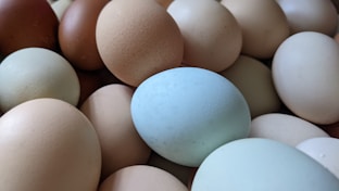 A collection of eggs in various shades, including brown, beige, white, and pale blue, are placed closely together.
