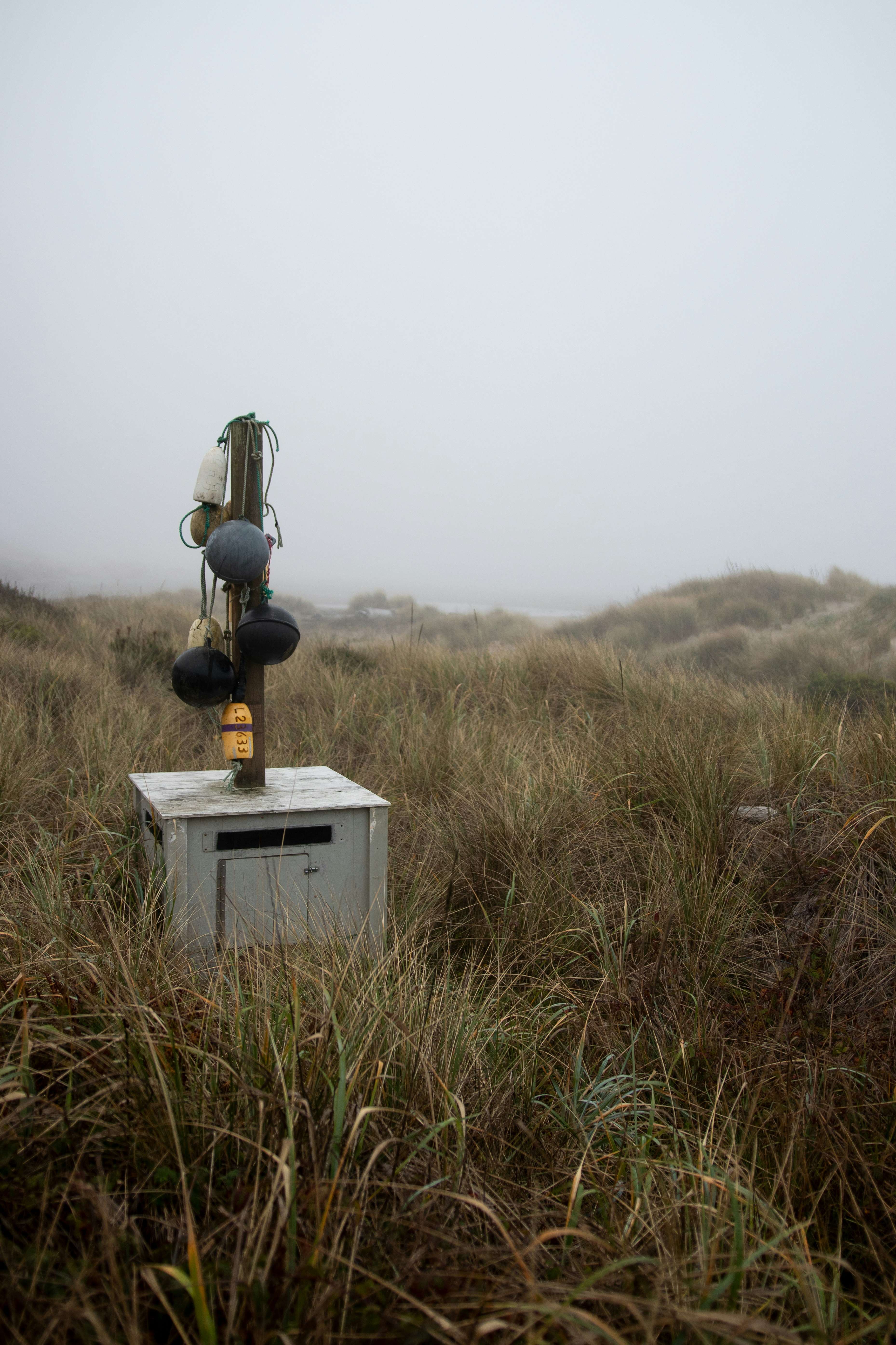 a white box sitting in a field of tall grass