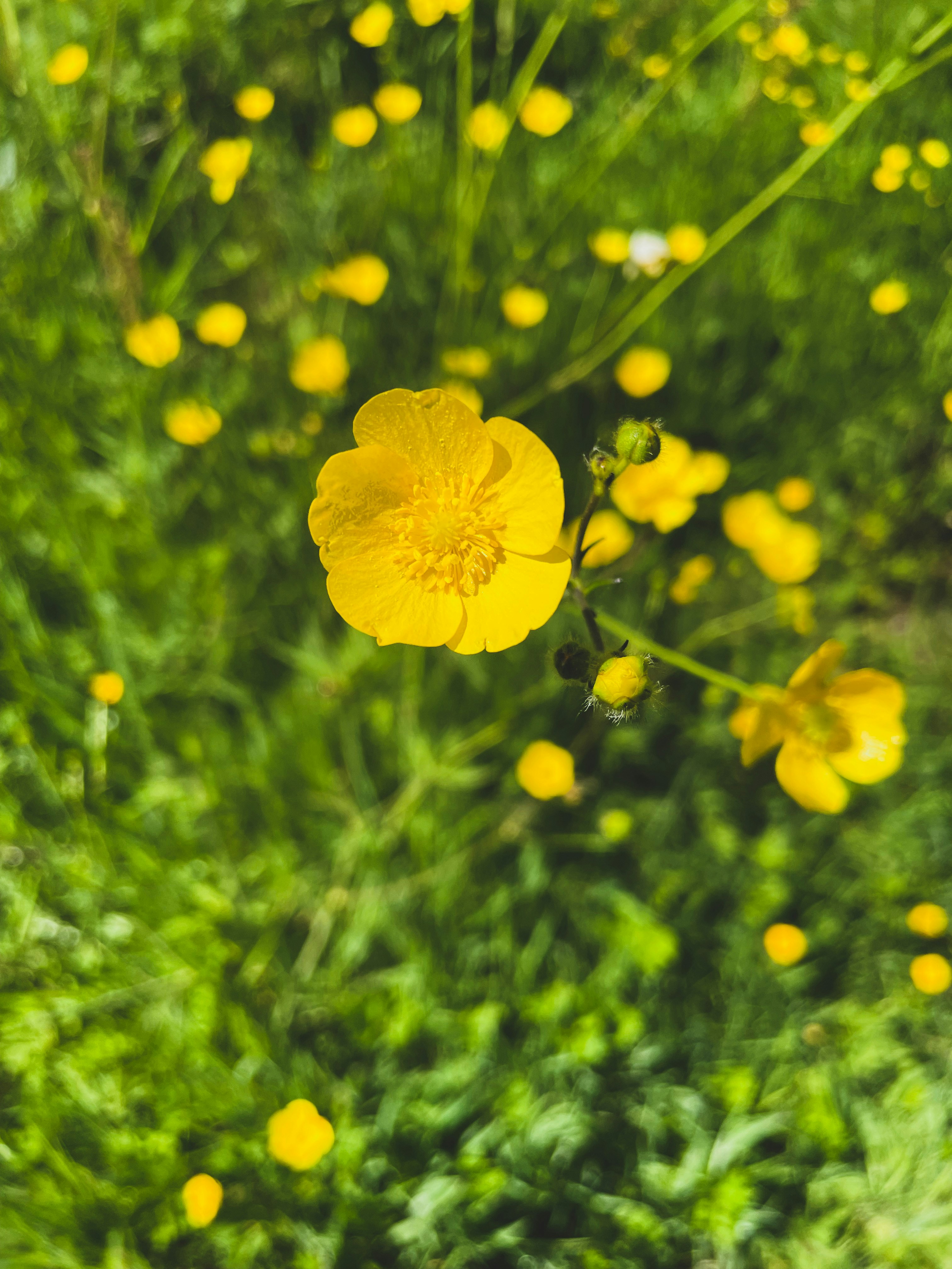 Photo by markbishopbrave