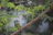 Close-up of a colorful bird perched on a branch with a blurred savannah landscape behind.