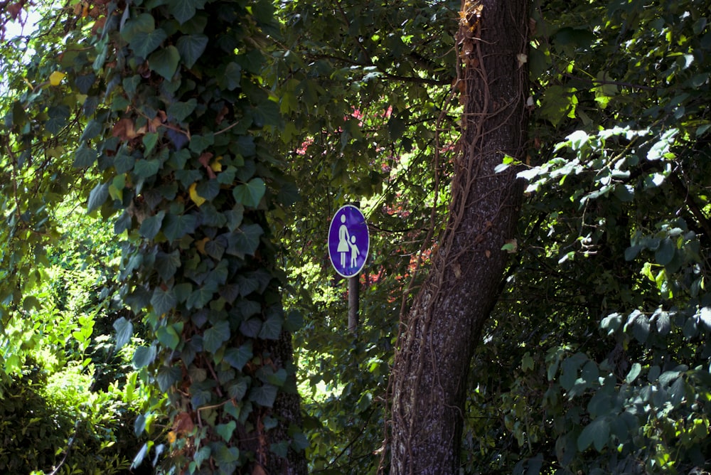 un panneau bleu suspendu au flanc d’un arbre