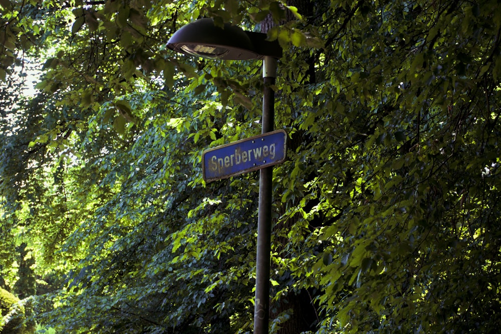 a street sign in front of some trees