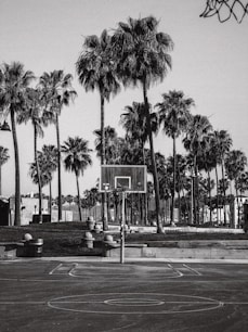 a black and white photo of a basketball court and palm trees
