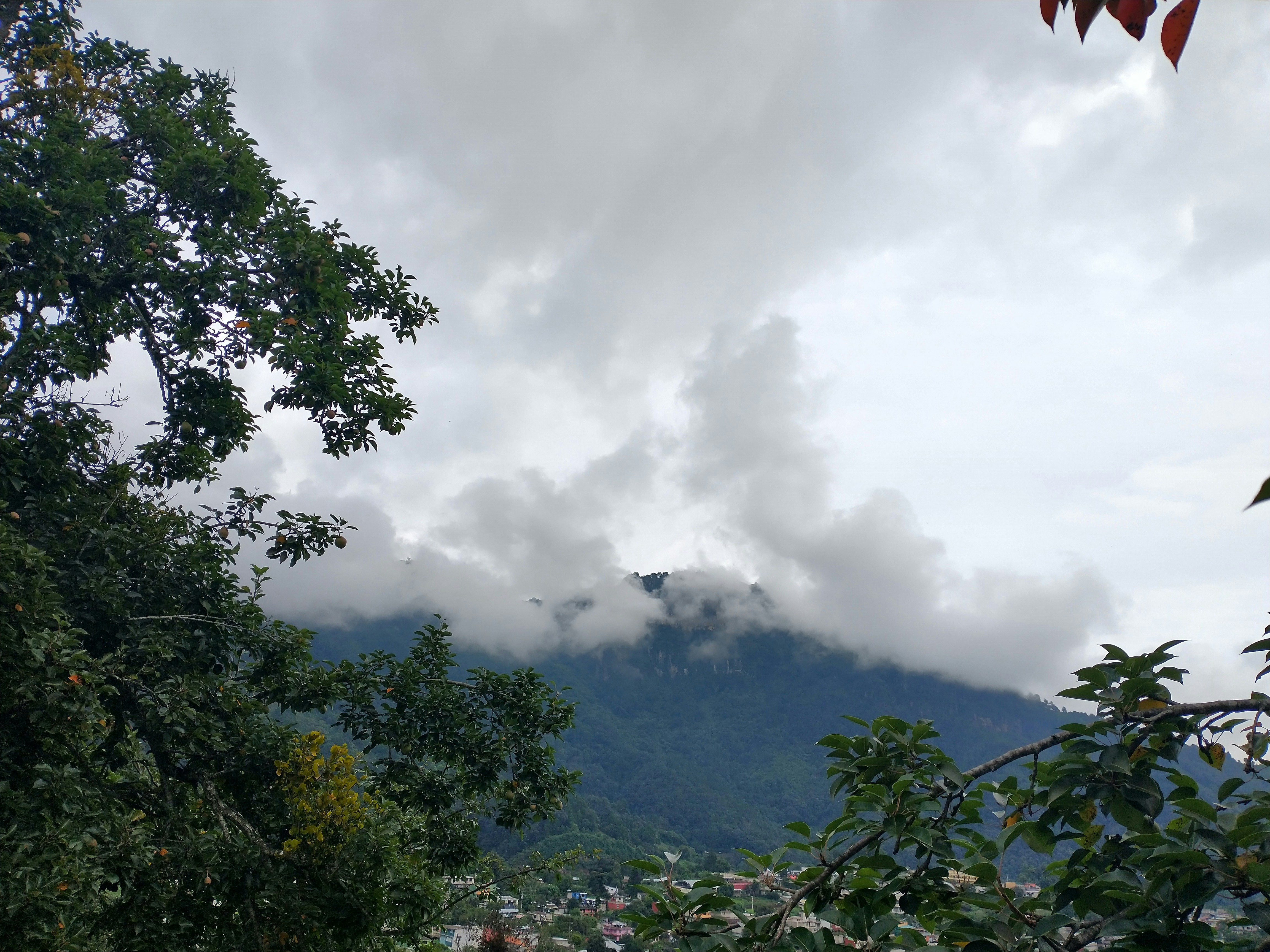 Photo by armandovalera