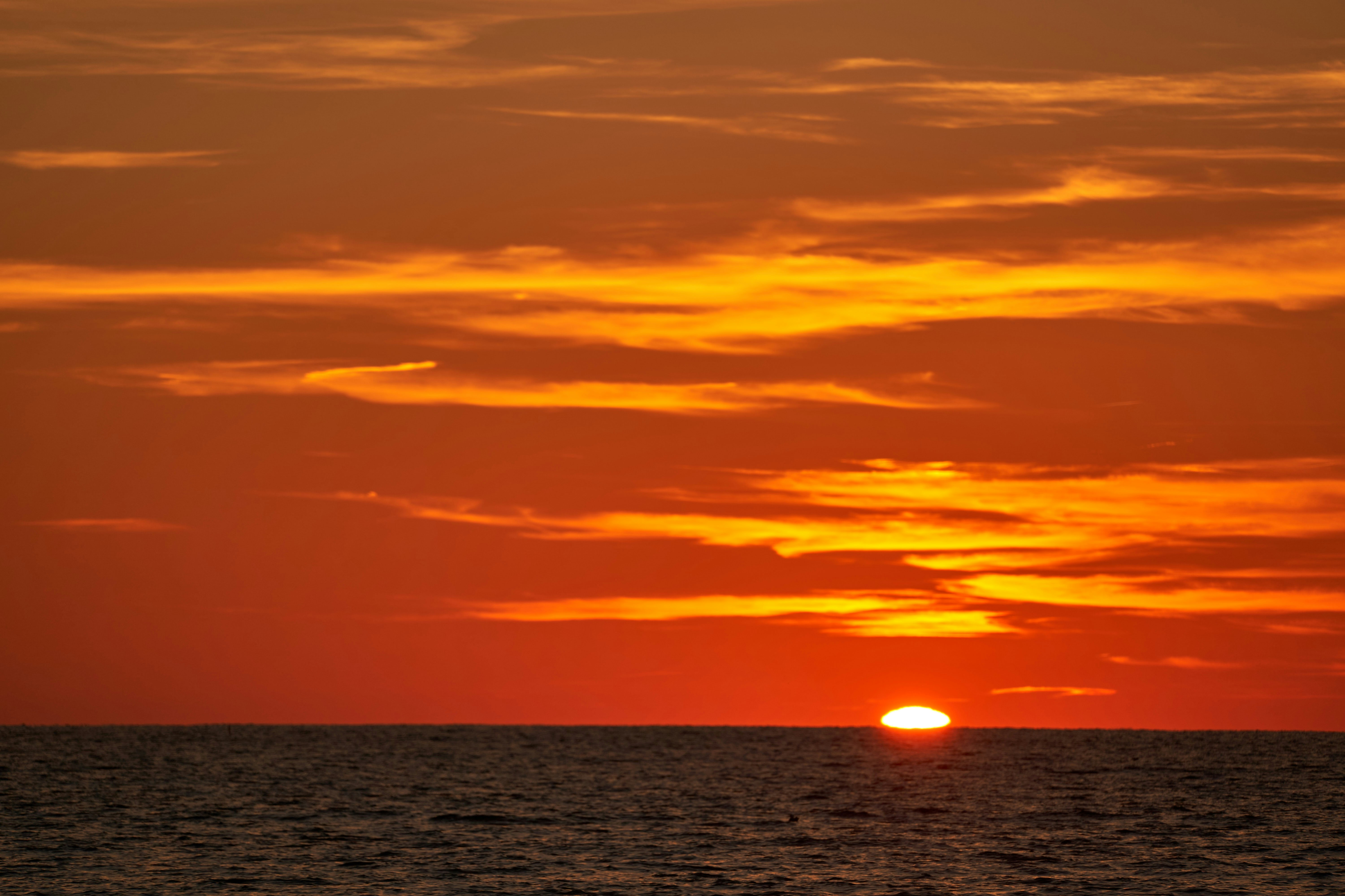 Photo by wolfgang_hasselmann