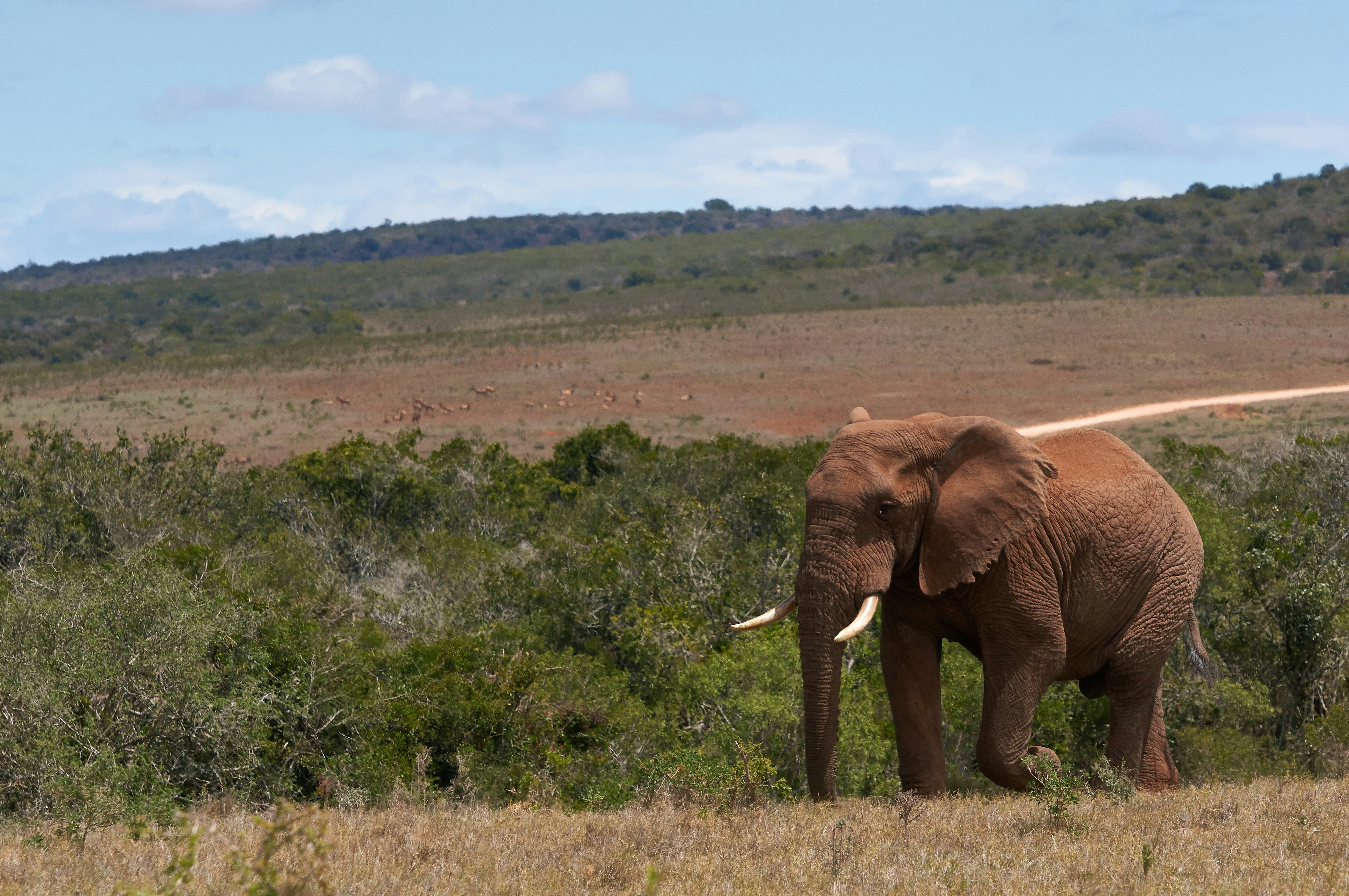 Photo by wolfgang_hasselmann