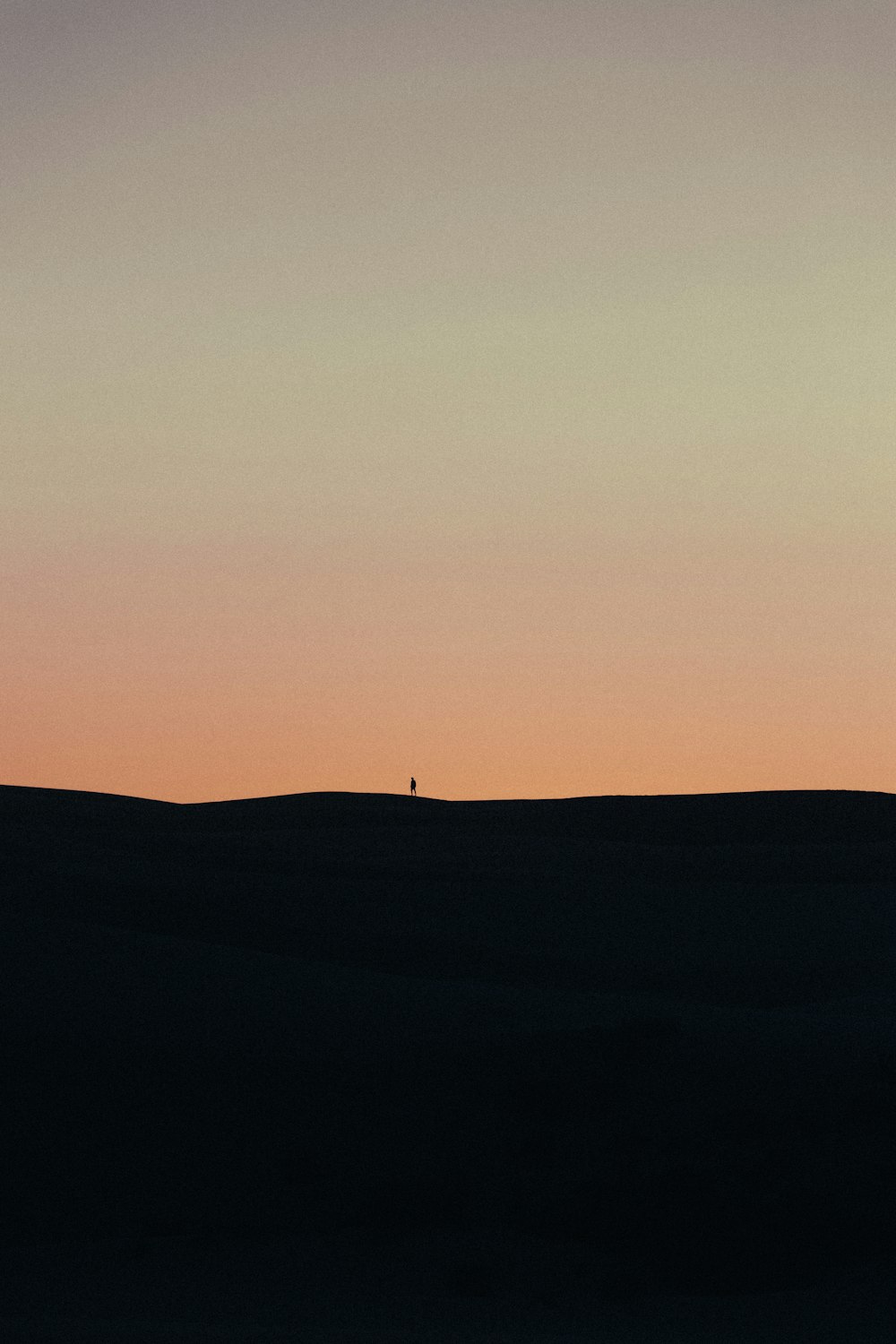 a lone tree in the middle of a desert