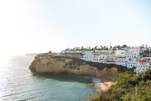 a view of a beach with a cliff in the foreground