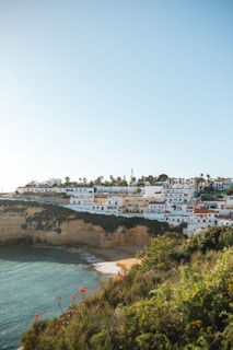 a view of a beach from a hill