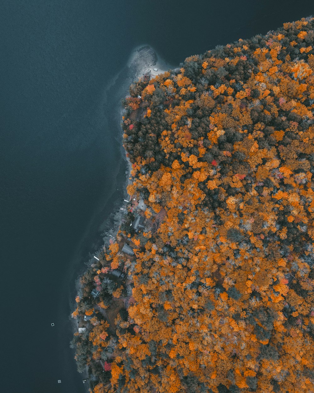 an aerial view of a lake surrounded by trees